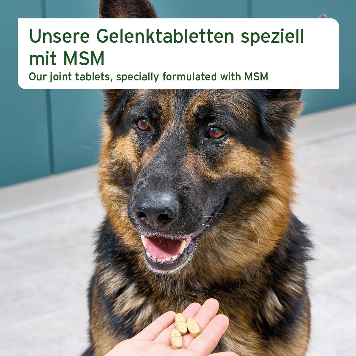 Joint tablets with MSM