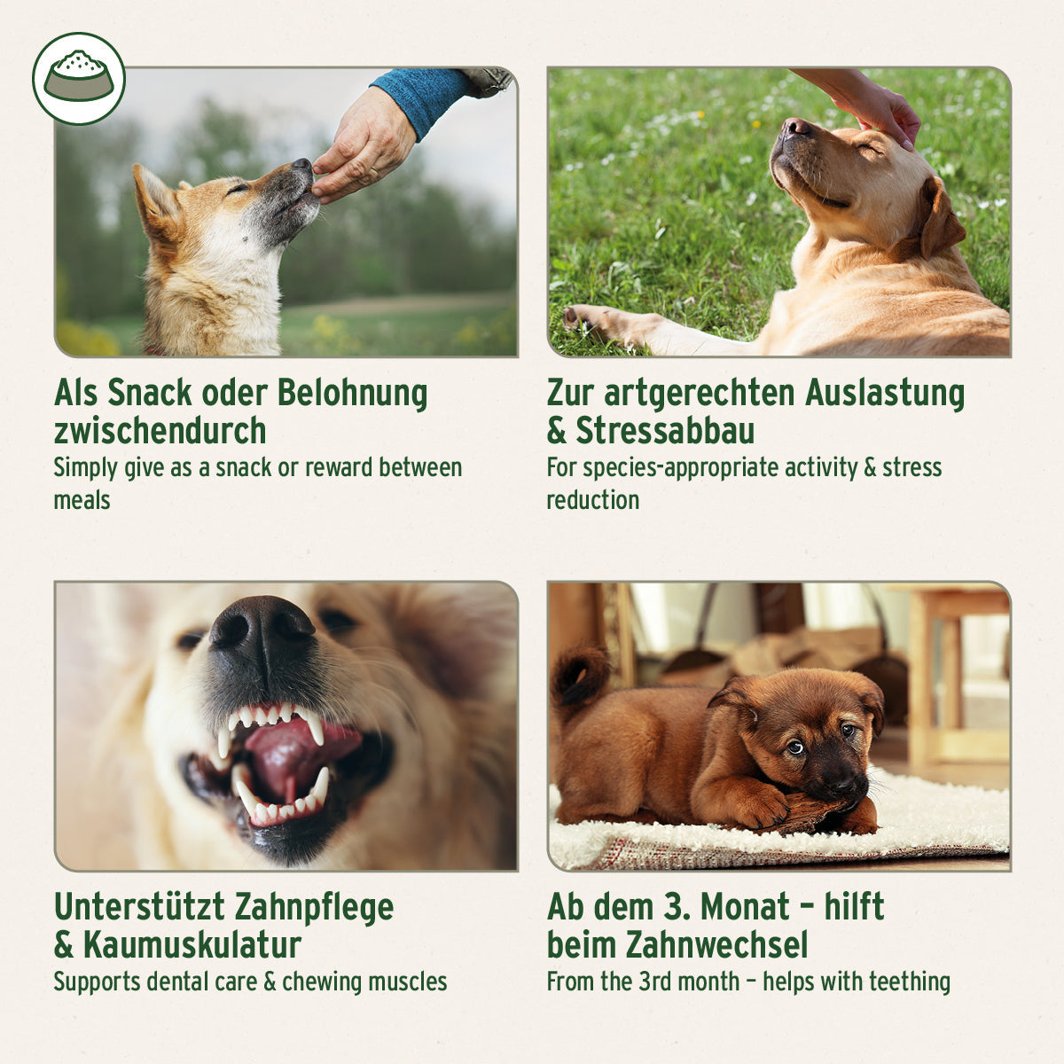 Kaninchenohren mit Fell als natürlicher Hundekausnack für stressabbauende Beschäftigung