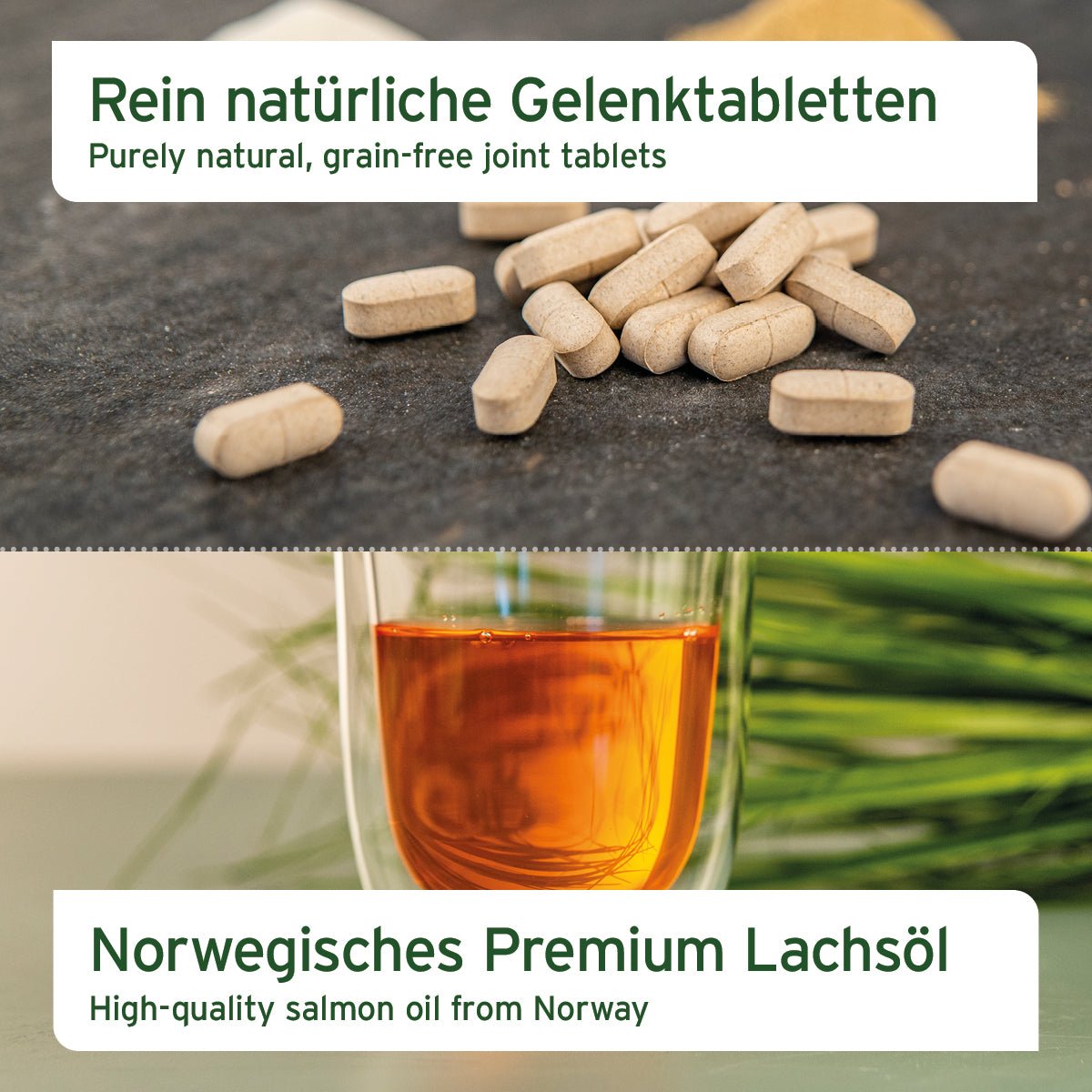 AniForte® Kombi-Set für Hunde mit Lachsöl und Gelenktabletten für mehr Beweglichkeit & Vitalität