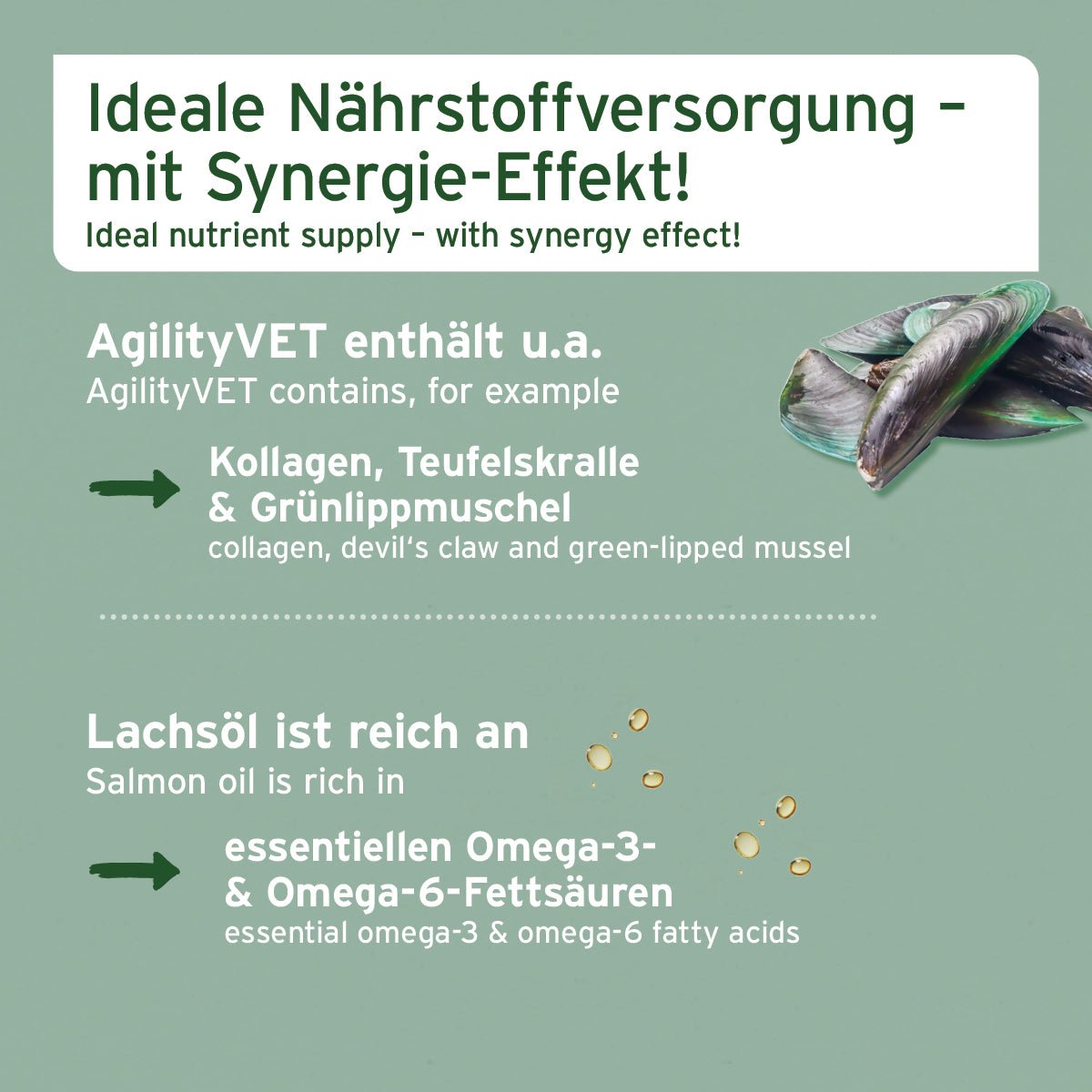 AniForte Kombi-Set für Hunde zur Förderung von Beweglichkeit & Vitalität mit Lachsöl und Gelenktabletten.