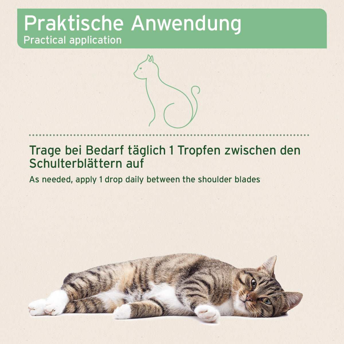 Praktische Anwendung von Ectoprotex Spot-on für Katzen gegen Flöhe und Zecken.