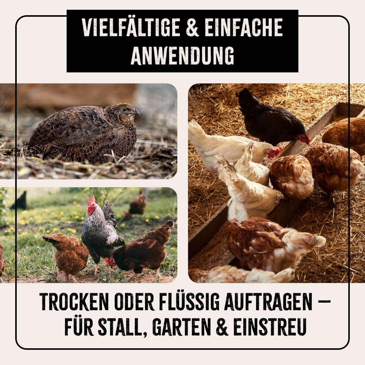 Vielfältige Anwendungsmöglichkeiten von FarmLife Kieselgur Pulver zur Stall- und Geflügelpflege.