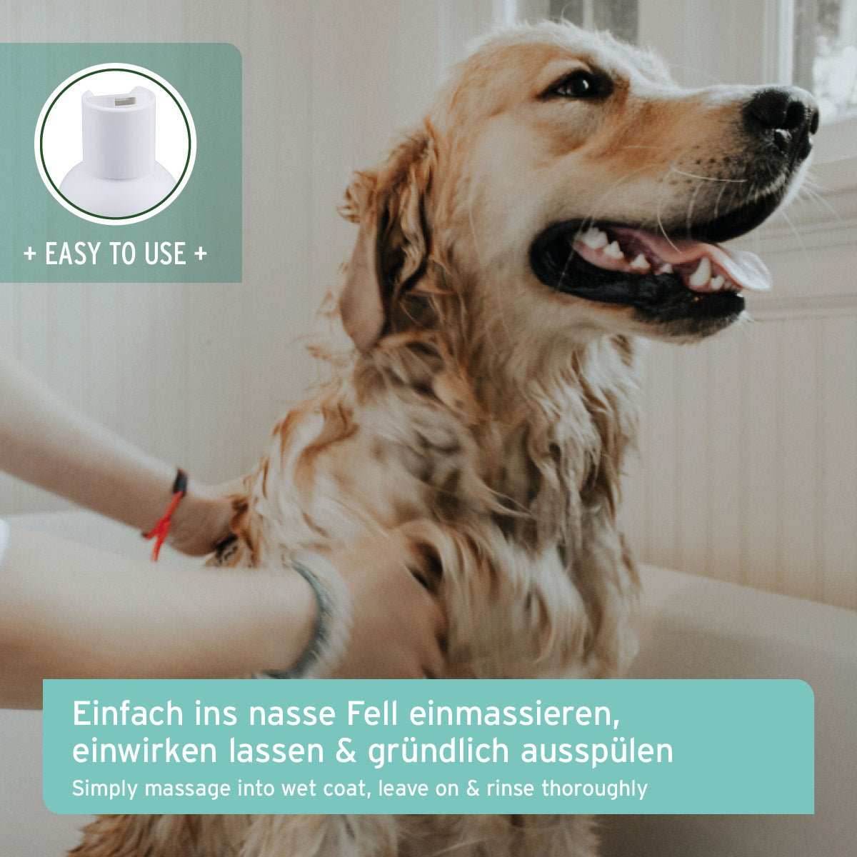 Hund der gewaschen wird.