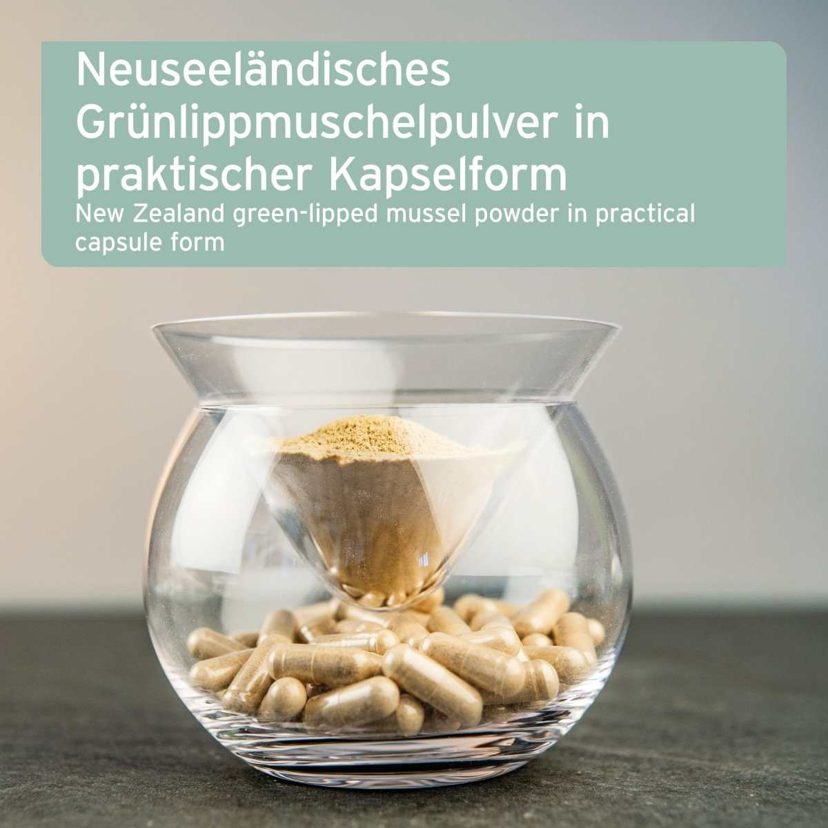 Grünlippmuschel Kapseln für Hunde in Schale, unterstützt Gelenkfunktion und Agilität, hochwertige Neuseeland-Qualität.