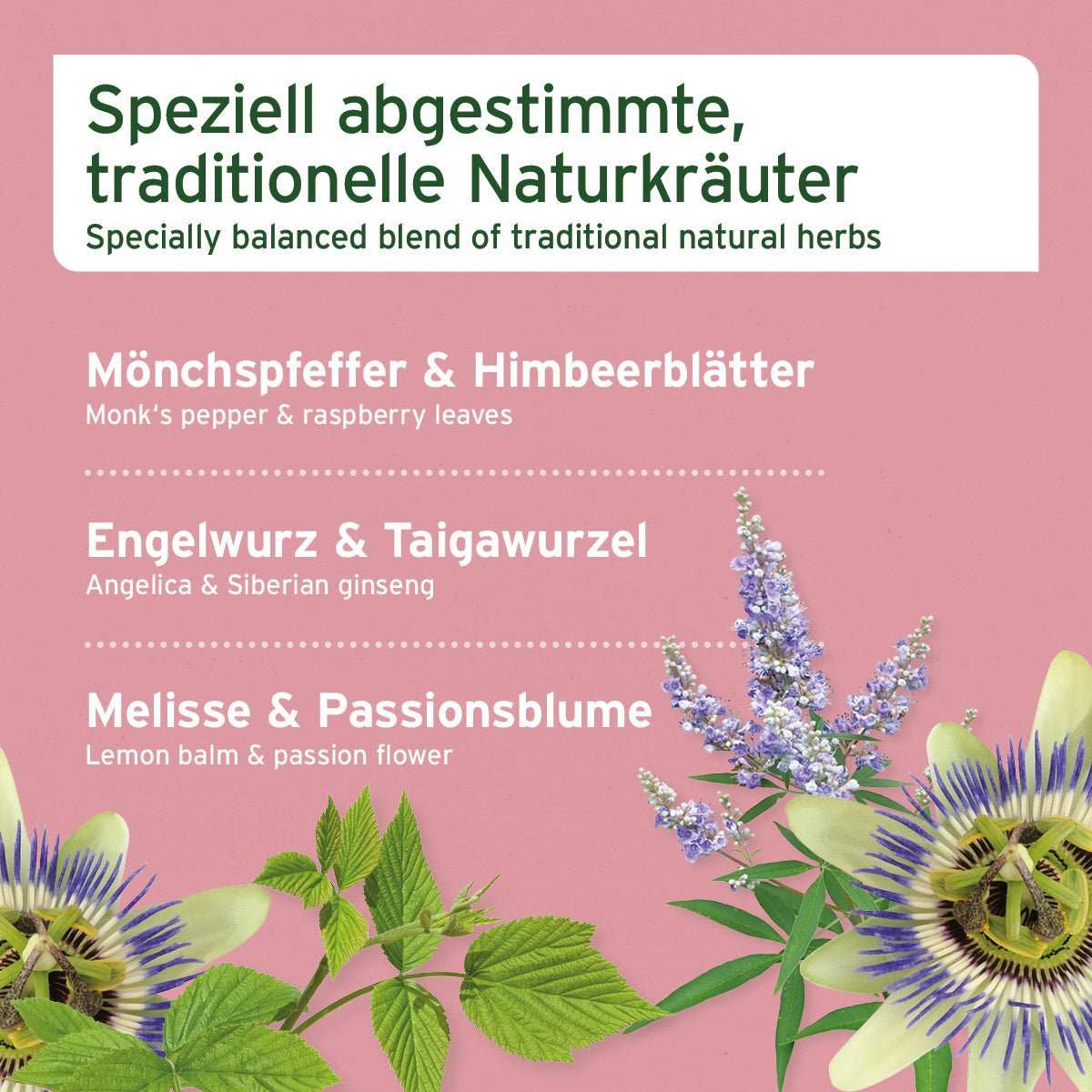 Speziell abgestimmte Naturkräuter für hormonelles Gleichgewicht bei Hunden: Mönchspfeffer, Himbeerblätter, Engelwurz, Taigawurzel, Melisse und Passionsblume.