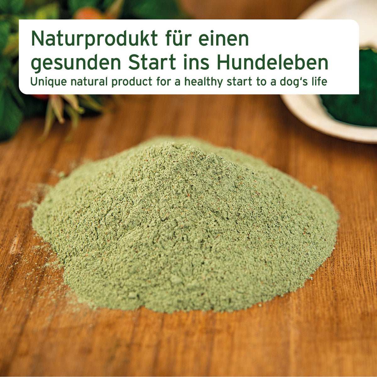 Hagebuttenpulver auf braunem Hintergrund.