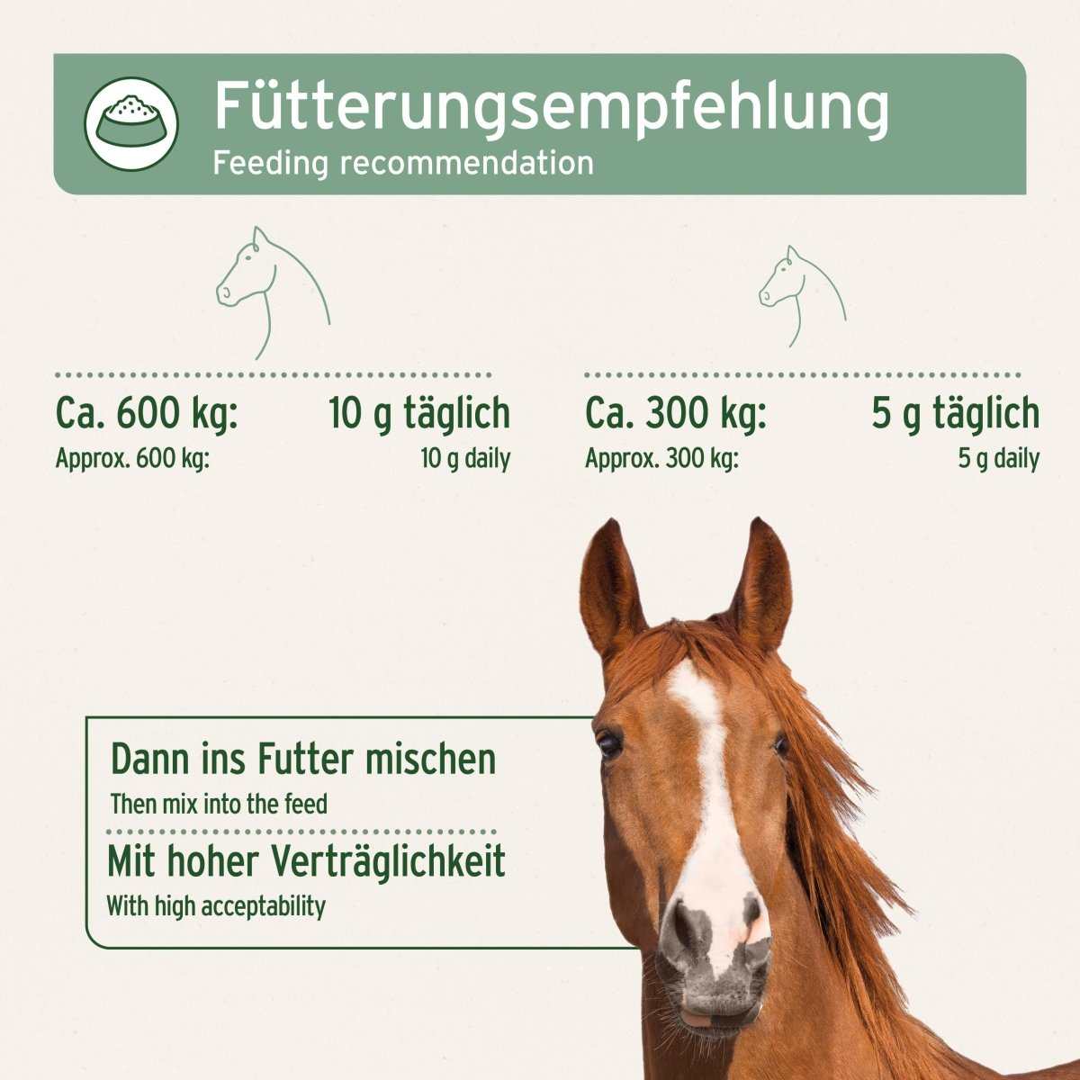 Fütterungsempfehlung und Pferd auf hellem Hintergrund.