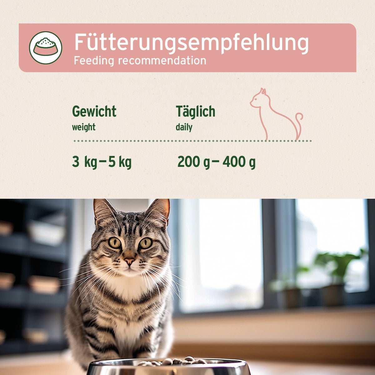 Nassfutter Fish & Chicken – Frischer Lachs mit feinem Hühnchen, Fütterungsempfehlung, Premium Katzenfutter, getreidefrei.