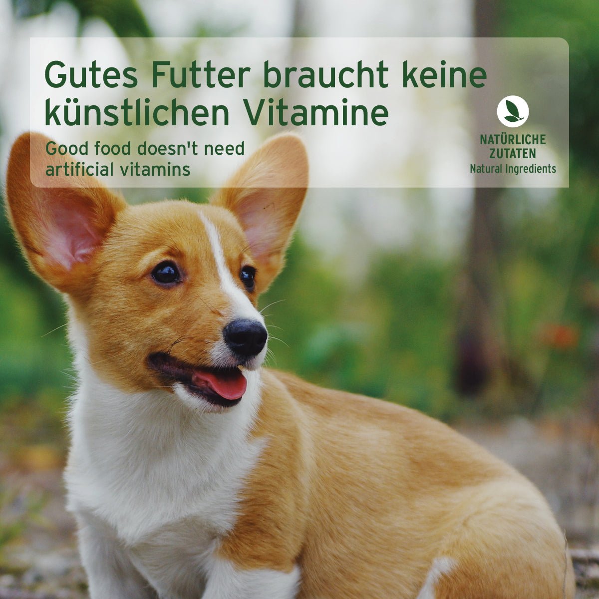 Nassfutter JuniorMenue mit Rind und Süßkartoffeln – getreidefrei und natürlich für Welpen.