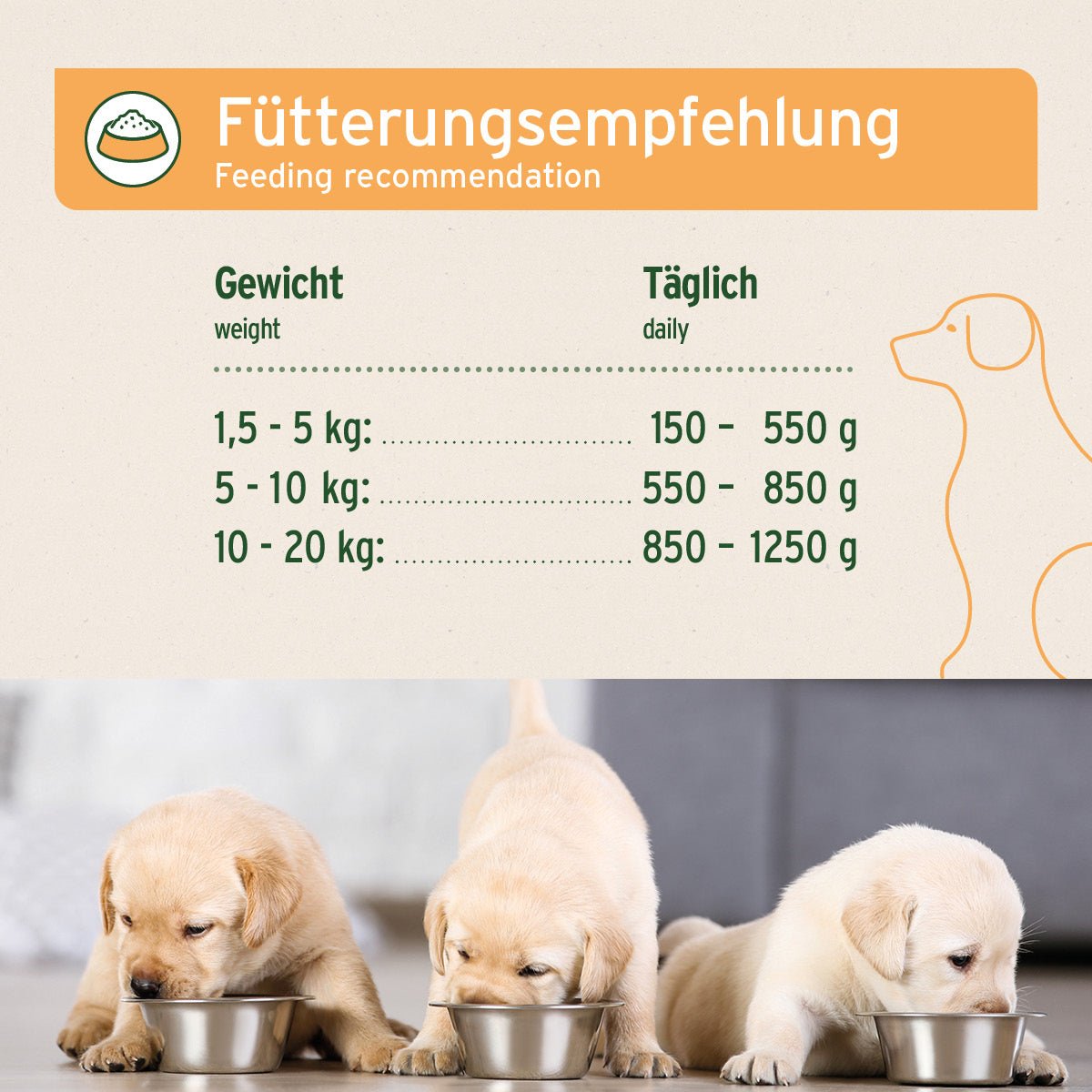 AniForte Nassfutter JuniorMenue Huhn mit Möhren für Welpen und Junghunde, getreidefrei und natürlich