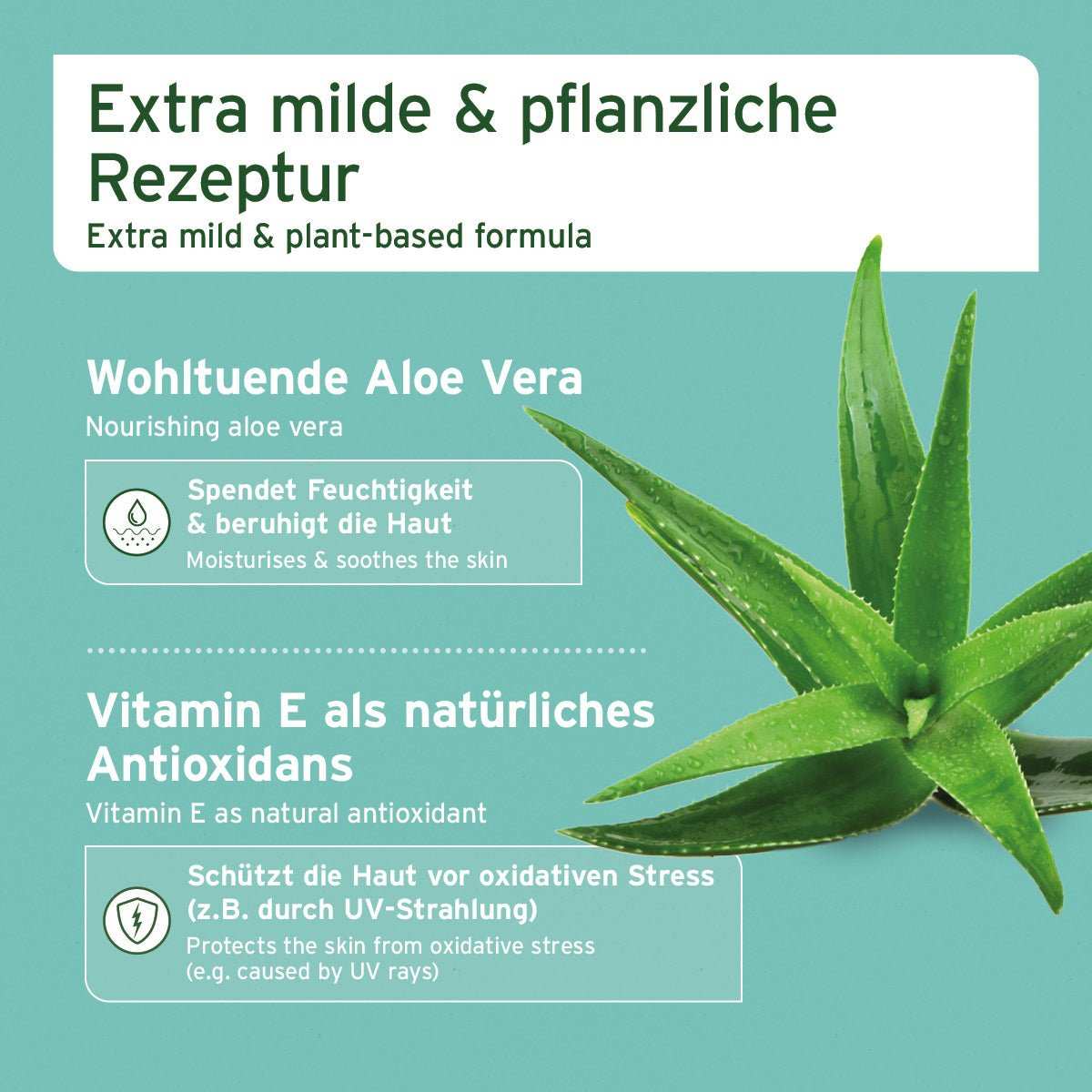 Informationsgrafik mit den Vorzügen des Artikels Ohren-Reinigungspads mit Aloe Vera zur natürlichen Pflege und Reinigung von Hunde- und Katzenohren und einem Aloe Vera Zweig.