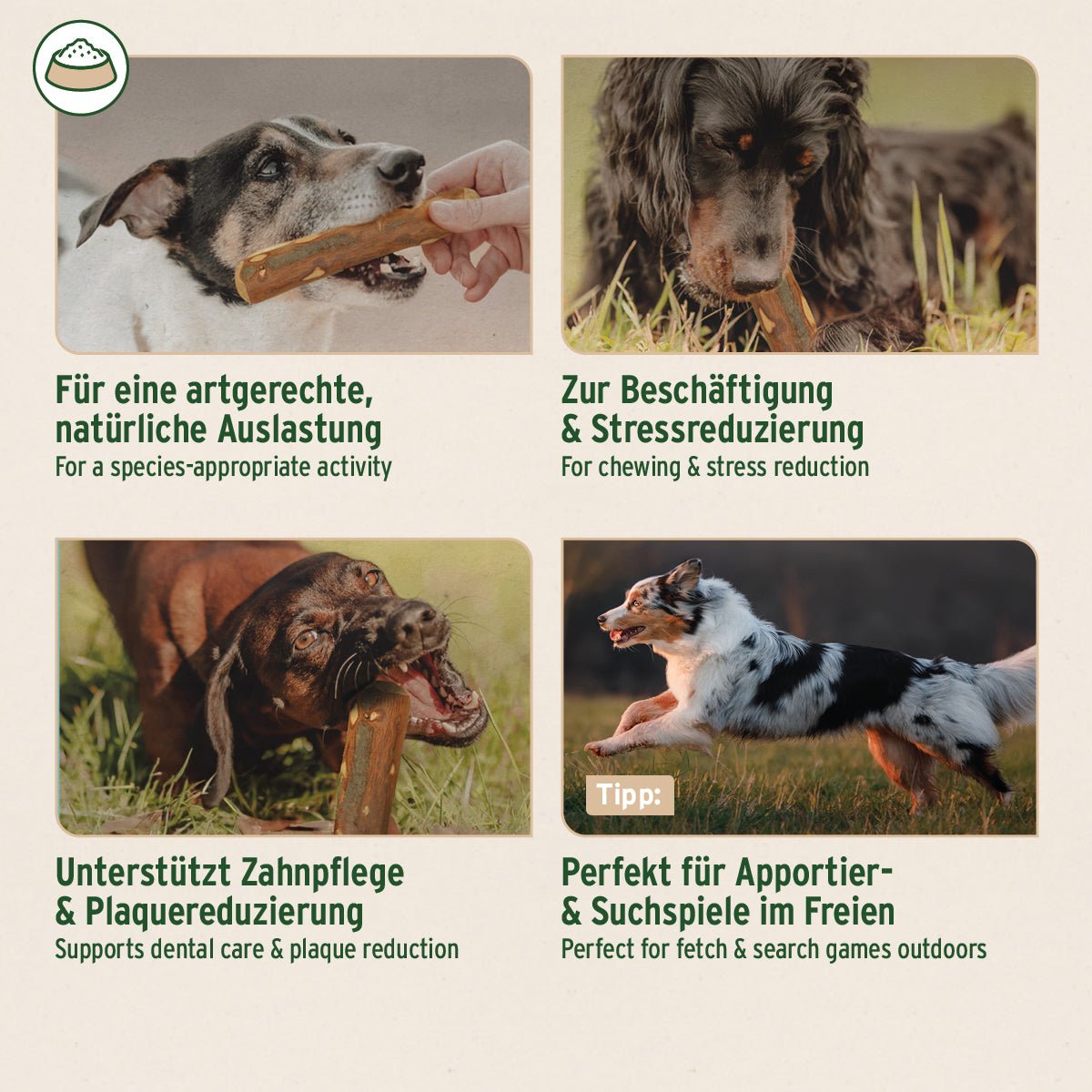 Olivenholz Kauknochen für Hunde zur natürlichen Beschäftigung, Zahnpflege und Stressreduktion, langlebig und schadstofffrei aus nachhaltigem Olivenholz.
