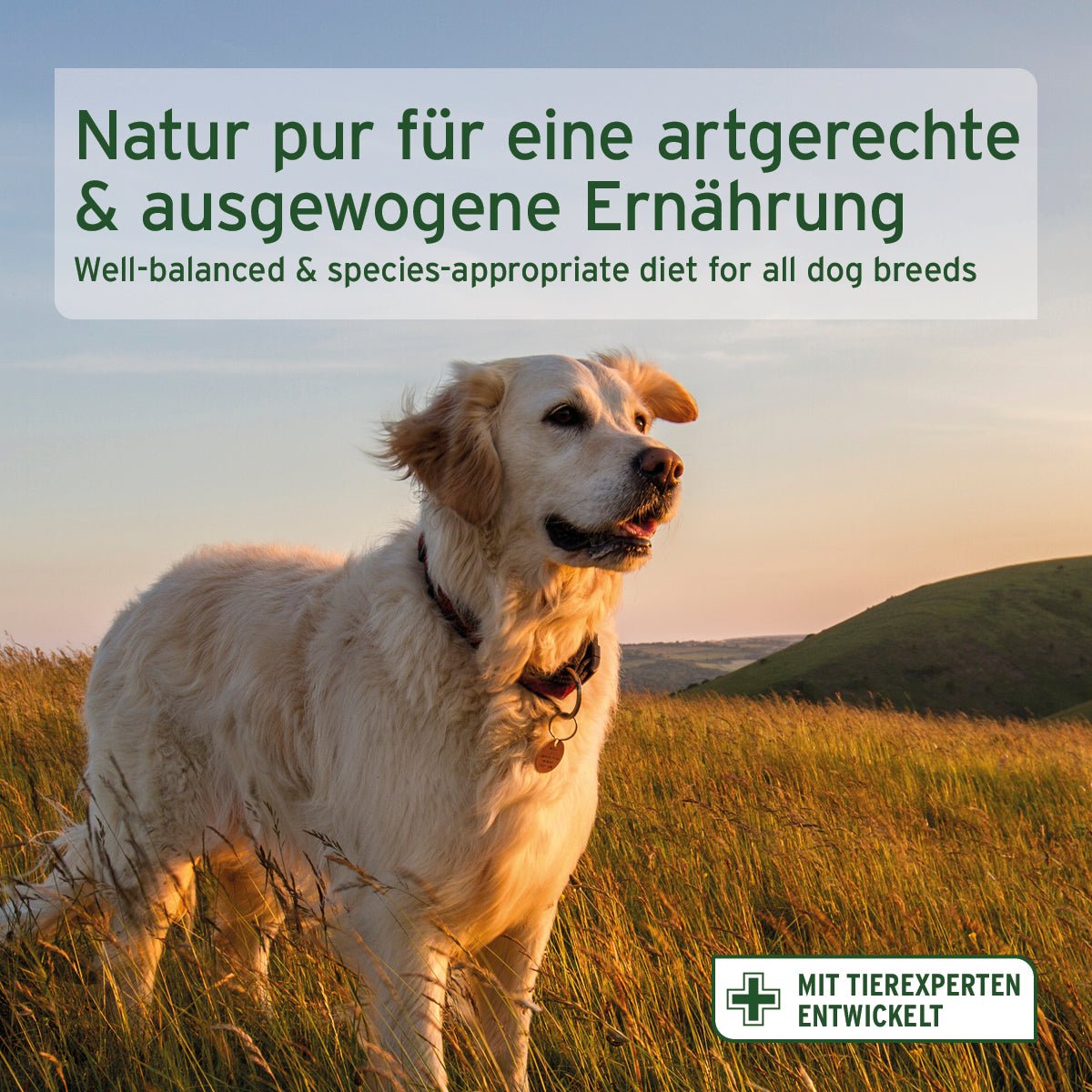 Probierpaket: Halbfeuchtes Trockenfutter 4 x 500 g - AniForte
