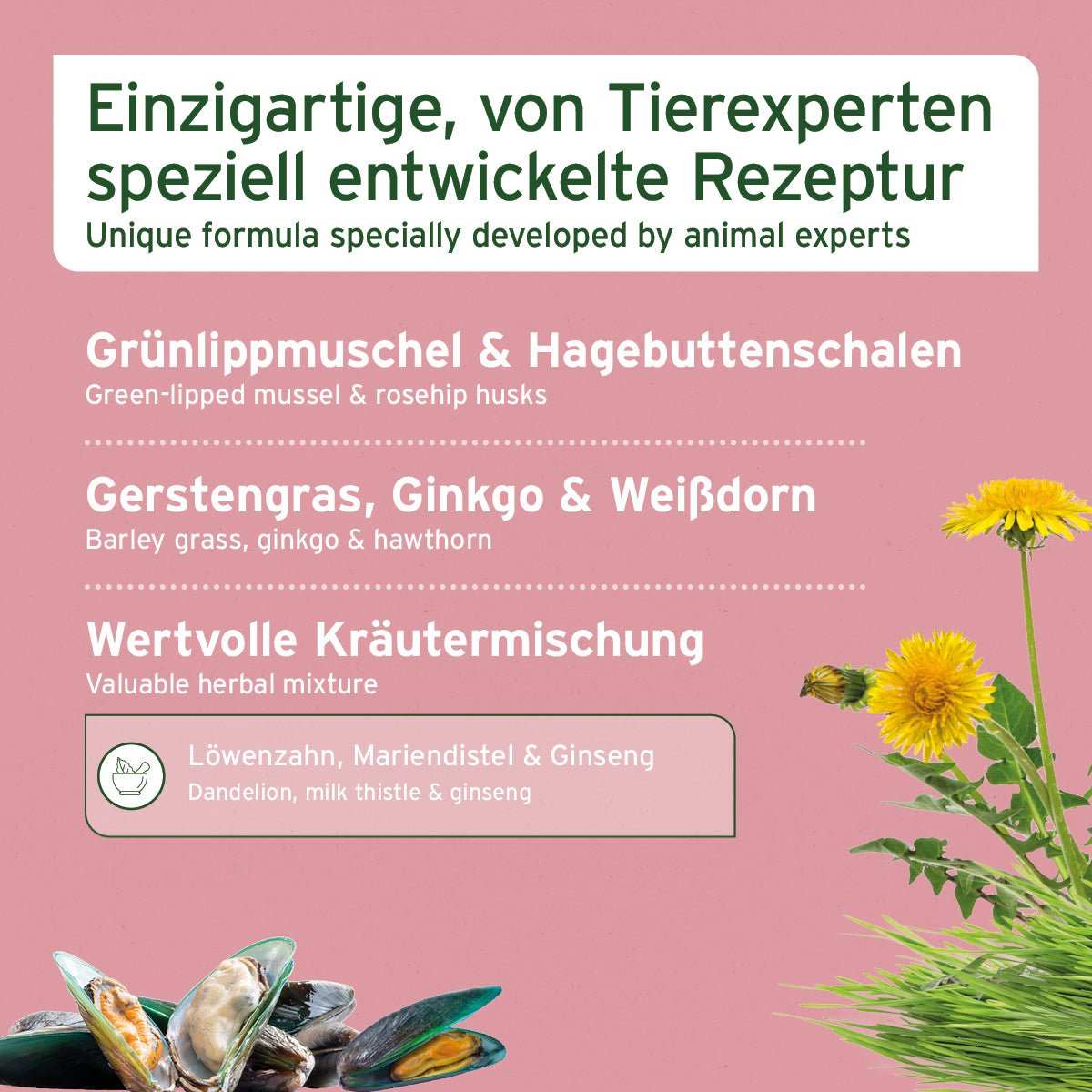 Einzigartige Rezeptur für ältere Hunde mit Grünlippmuschel, Hagebuttenschalen und Kräutermischung.