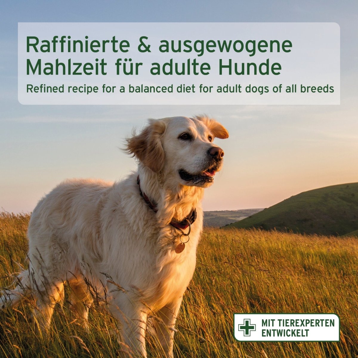 Trockenfutter FreelandDuck halbfeuchtes Hundefutter mit Ente für ausgewachsene Hunde