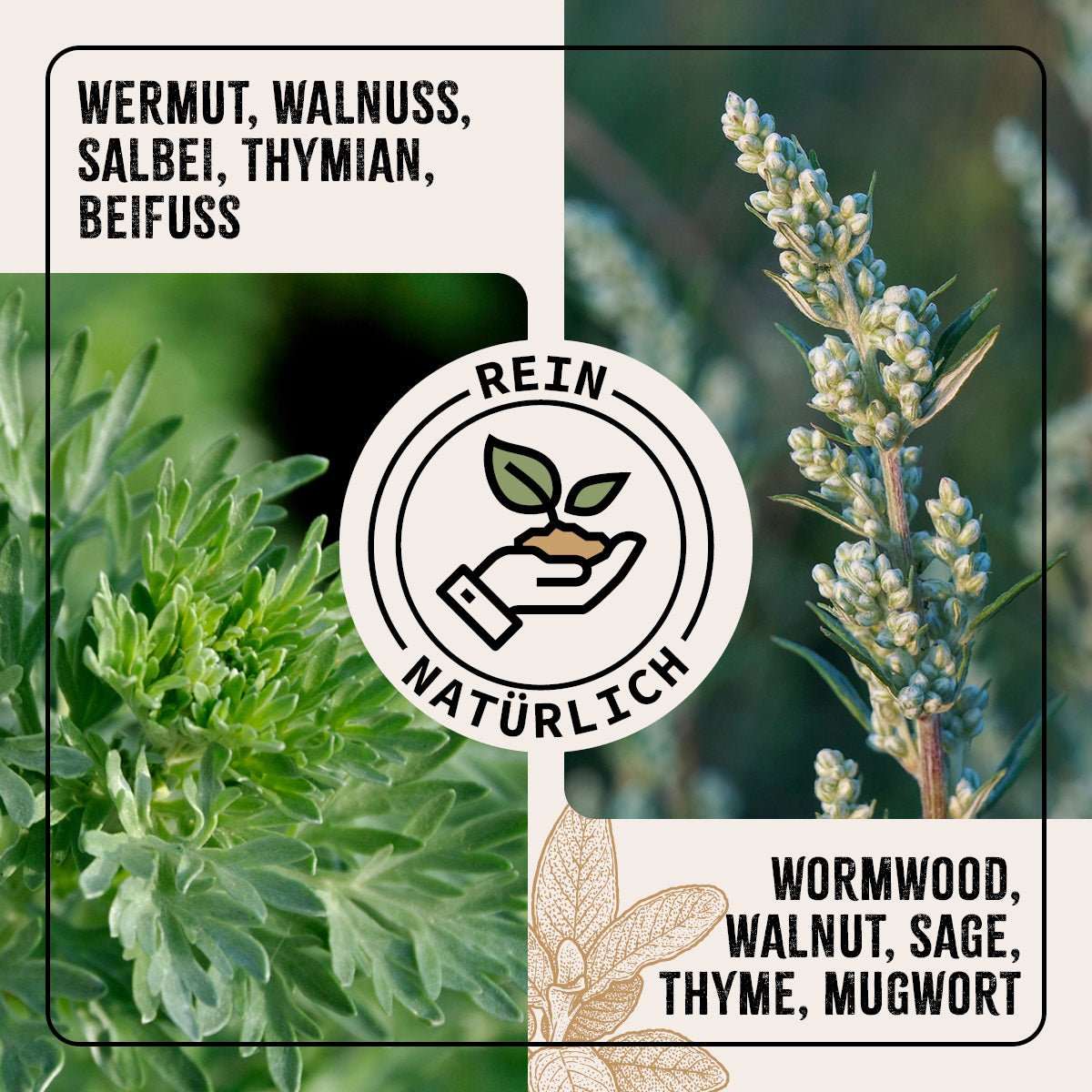 Kräutermischung WermiX für Geflügel, enthält Thymian, Beifuß, Wermut, Salbei, rein pflanzlich, unterstützt nach Wurmbefall, hergestellt in Deutschland.