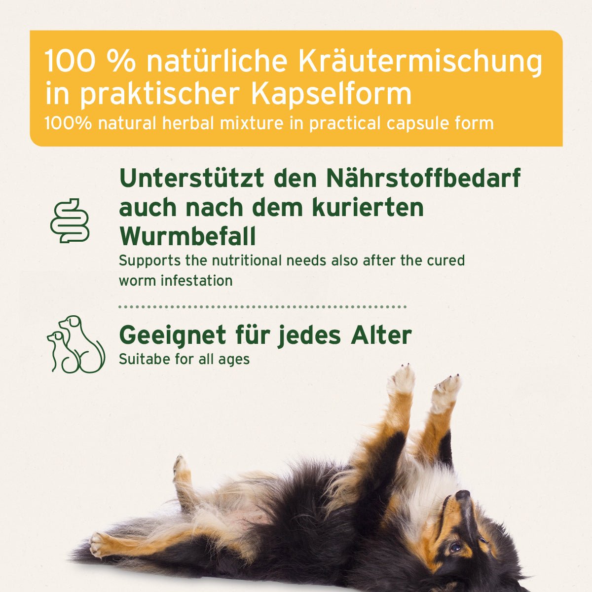 WermiX Kapseln für Hunde mit natürlicher Kräutermischung zur Unterstützung nach Wurmbefall