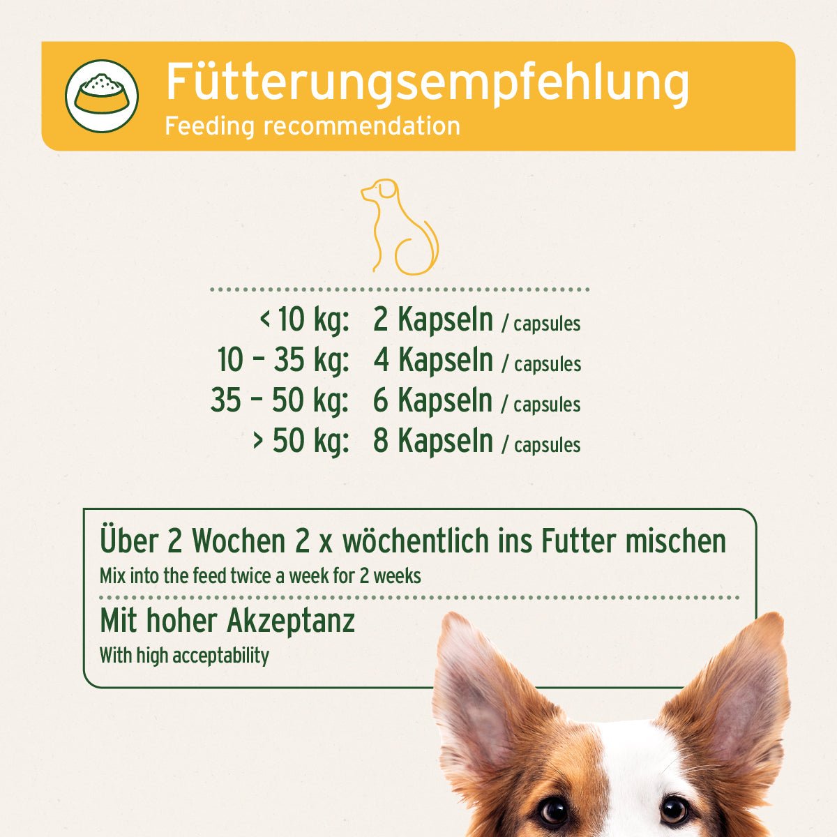 Fütterungsempfehlung für WermiX Kapseln für Hunde nach Gewicht mit hoher Akzeptanz