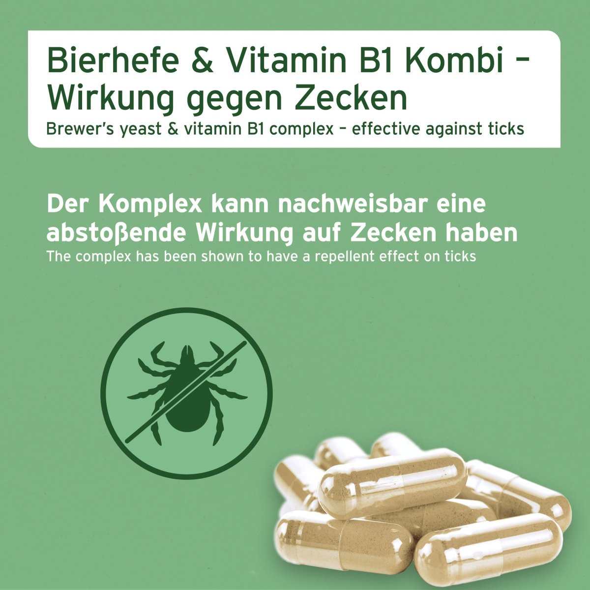 Bierhefe und Vitamin B1 Kombination gegen Zecken mit Kapseln, die eine abstoßende Wirkung haben.
