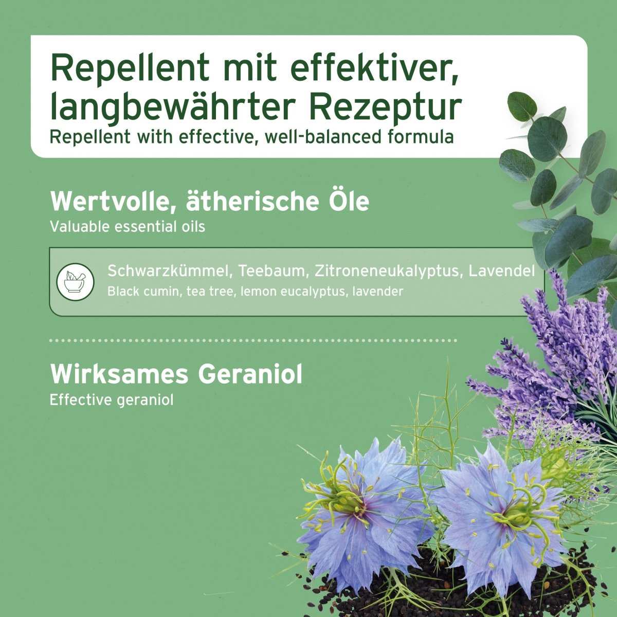 Verschiedene Kräuter auf grünem Hintergrund.