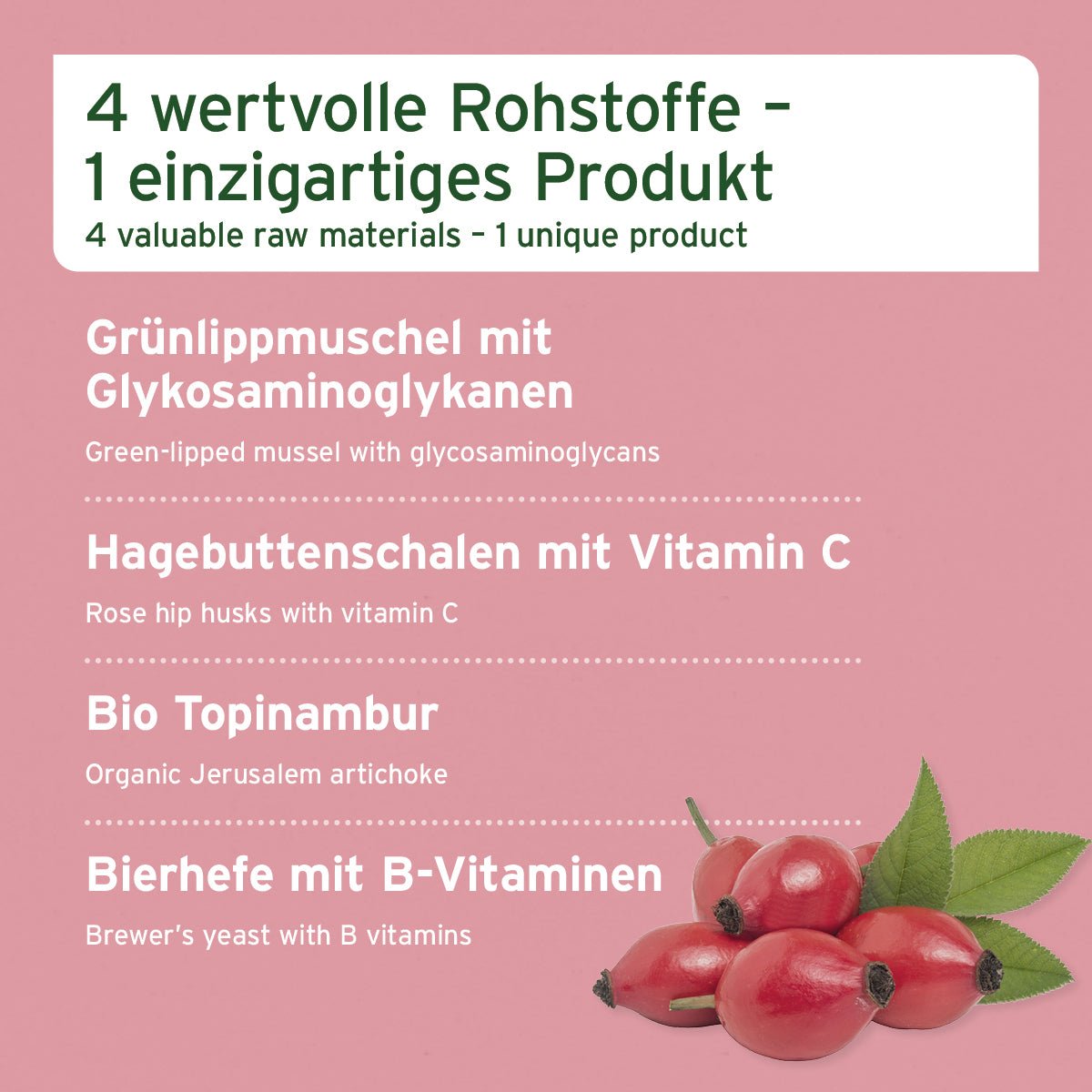 AniForte® 4in1 Complete Dog mit Grünlippmuschel, Hagebuttenschalen, Topinambur und Bierhefe zur Stärkung von Immunsystem, Gelenken und Verdauung bei Hunden