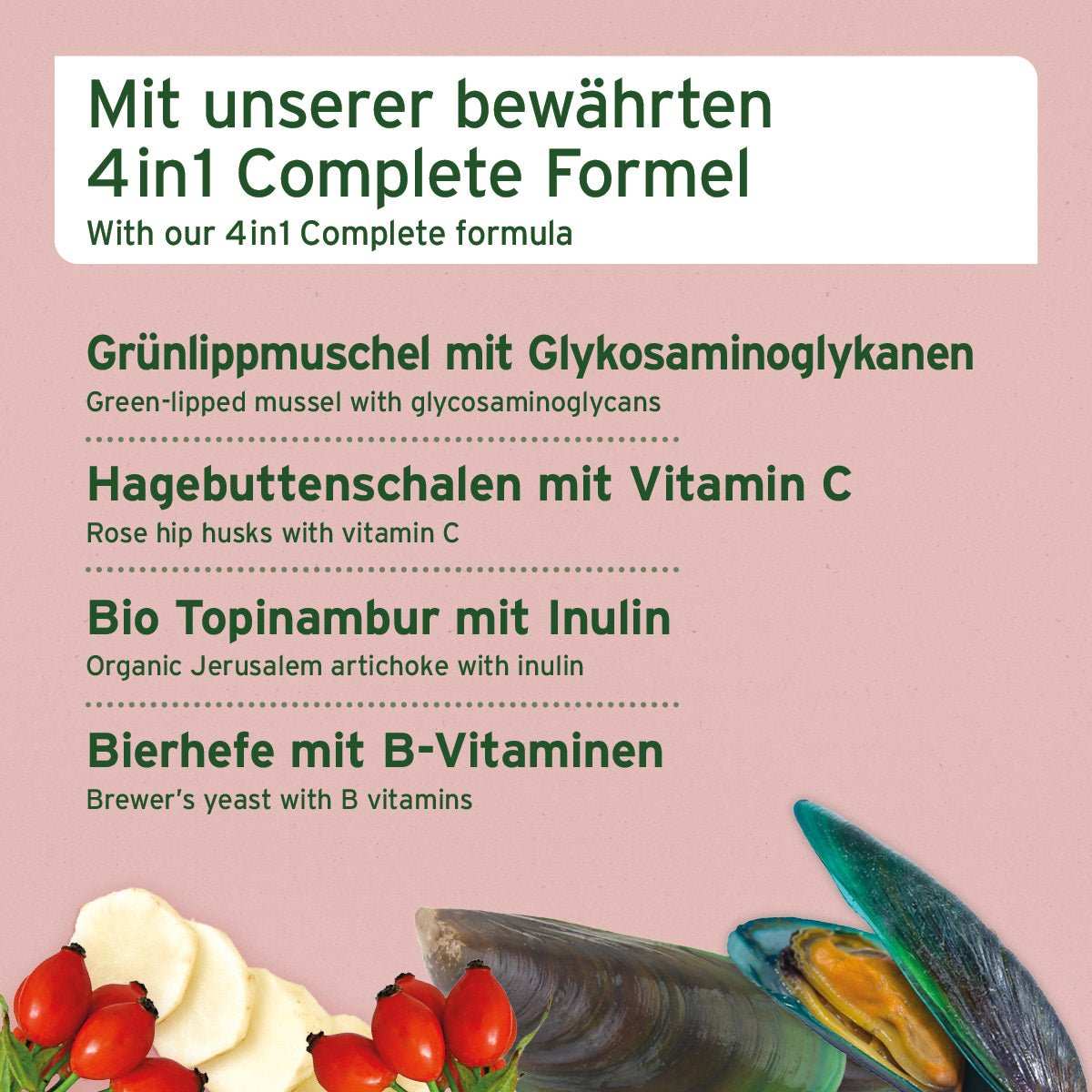 Grünlippmuschel, Hagebutten und Topinamnbur auf rosa Hintergrund. 
