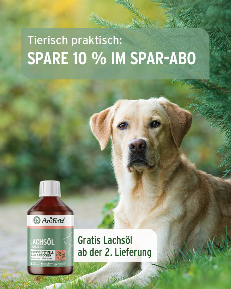 Spare 10 % im Spar-Abo. Gratis Lachsöl ab der zweiten Lieferung.
