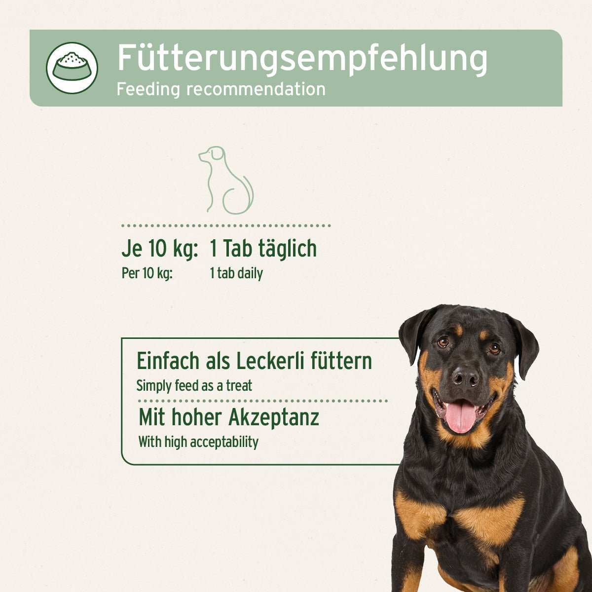 Fütterungsempfehlung und Rottweiler. 