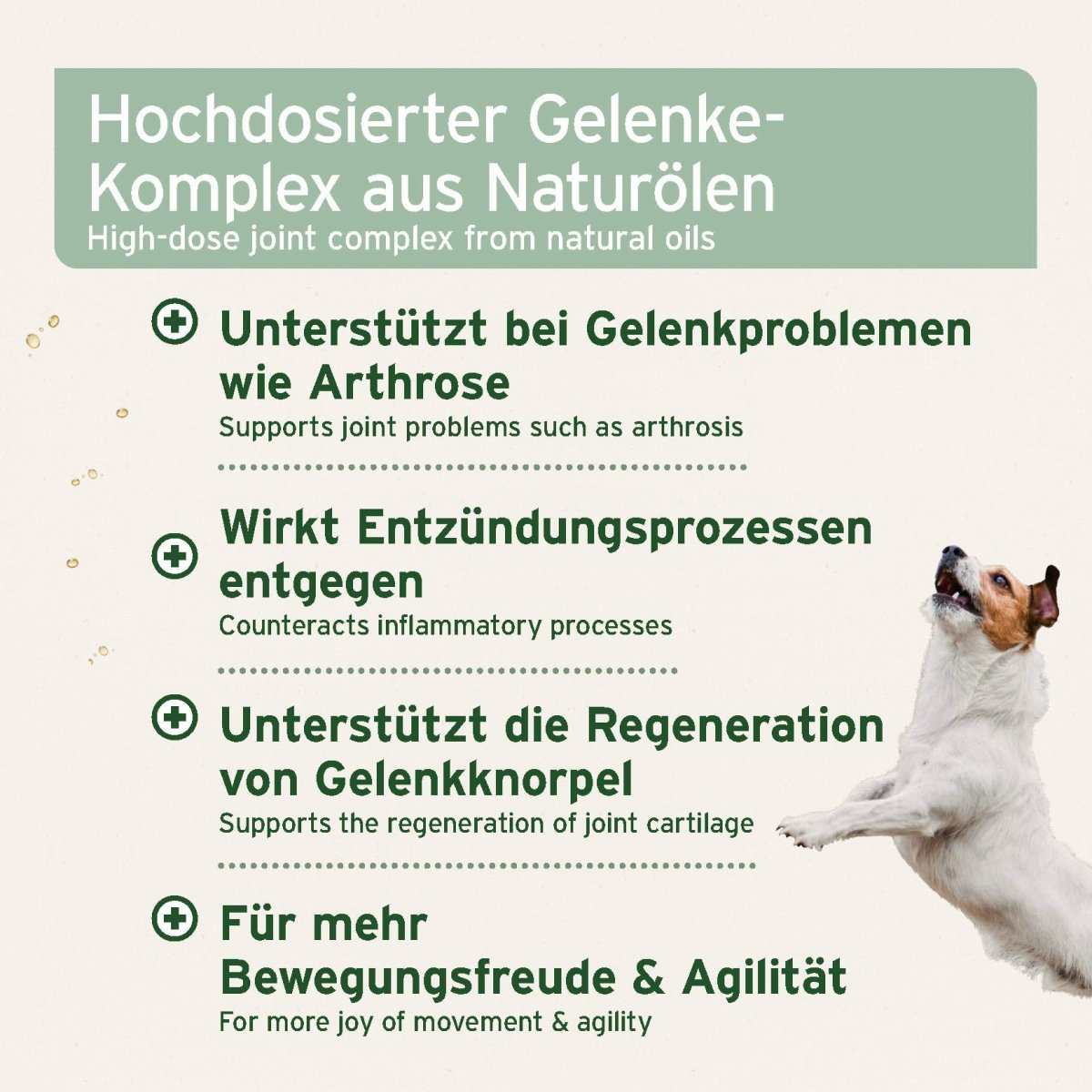 Hochdosiertes Gelenk-Komplex-Öl für Hunde zur Unterstützung bei Gelenkproblemen, entzündungshemmend, fördert Regeneration von Gelenknorpel und Bewegungsfreude.