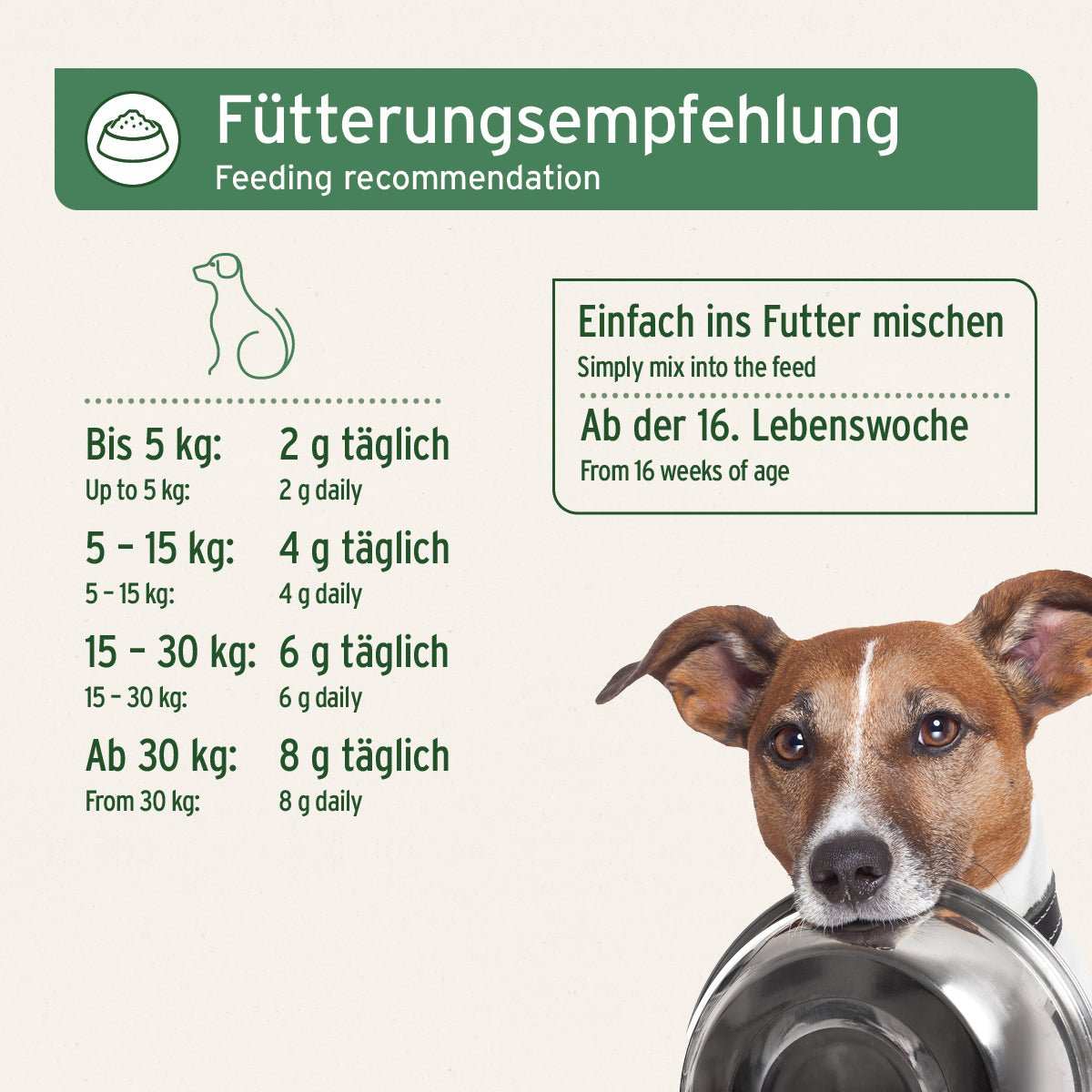 Fütterungsempfehlung BARF Complete - AniForte mit kleinem Hund und Napf. 