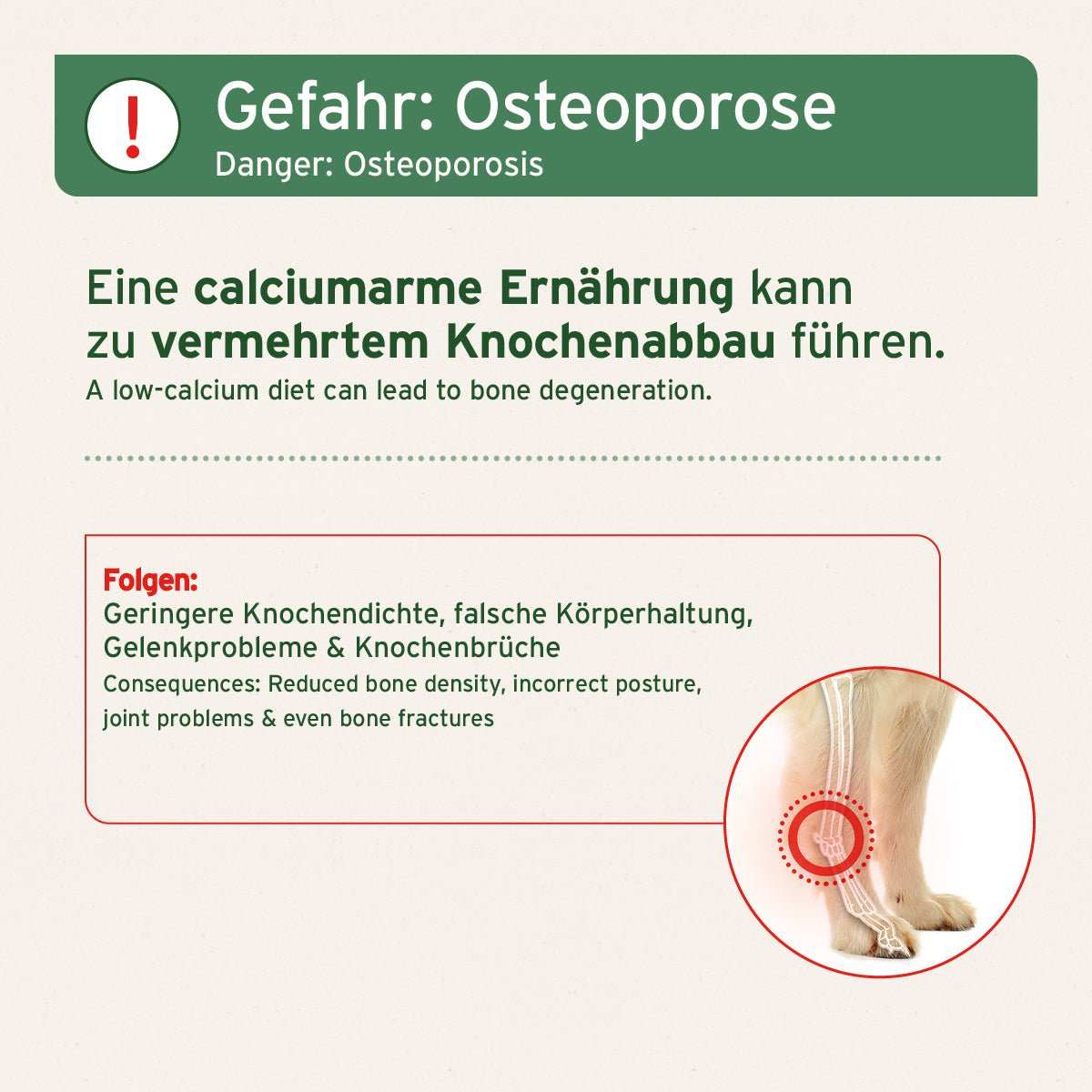 Anwendungsbeschreiung BARF - Line Gemahlene Knochen vom Pferd - AniForte