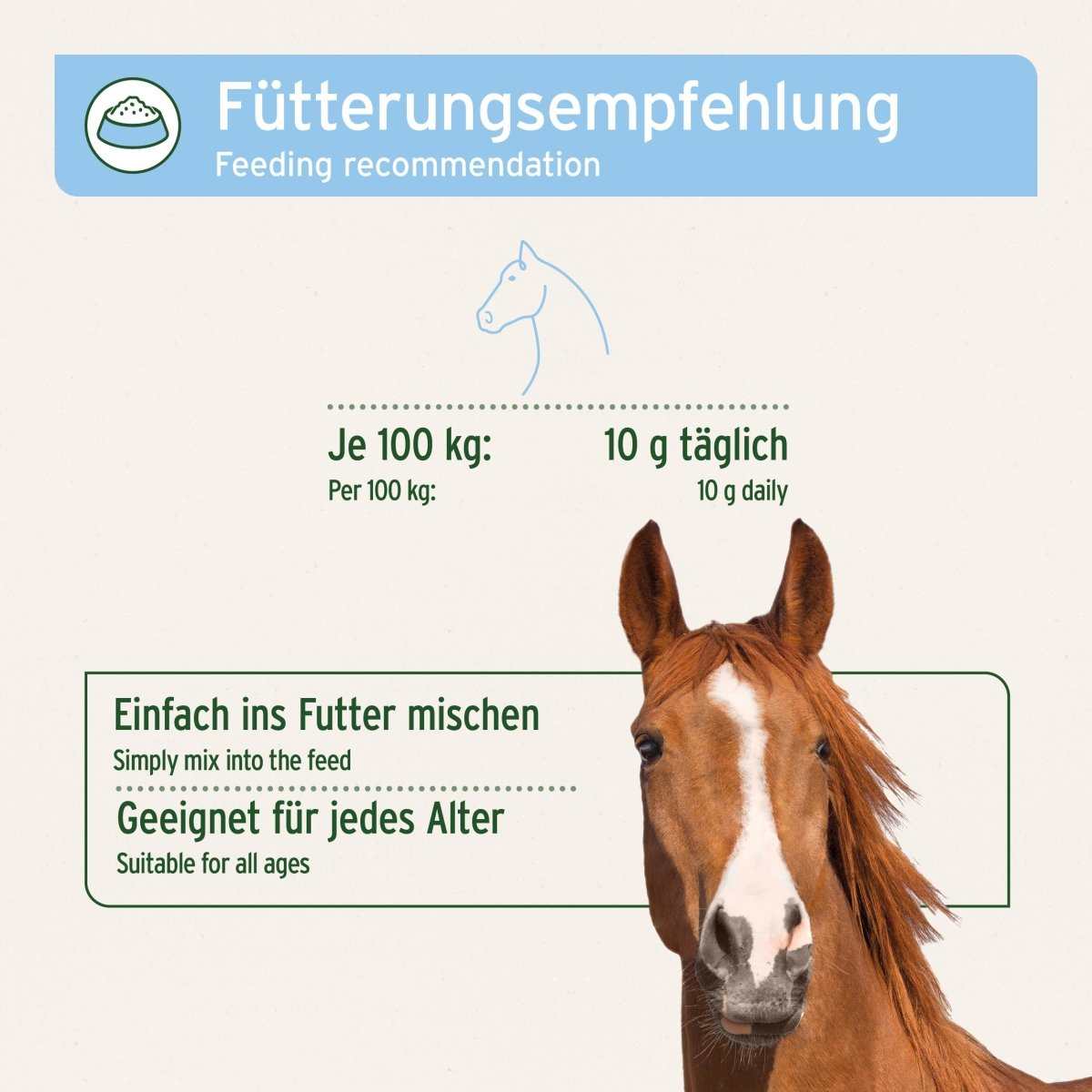 Bild von Pferdekopf. Bierhefe BT Pur - AniForte