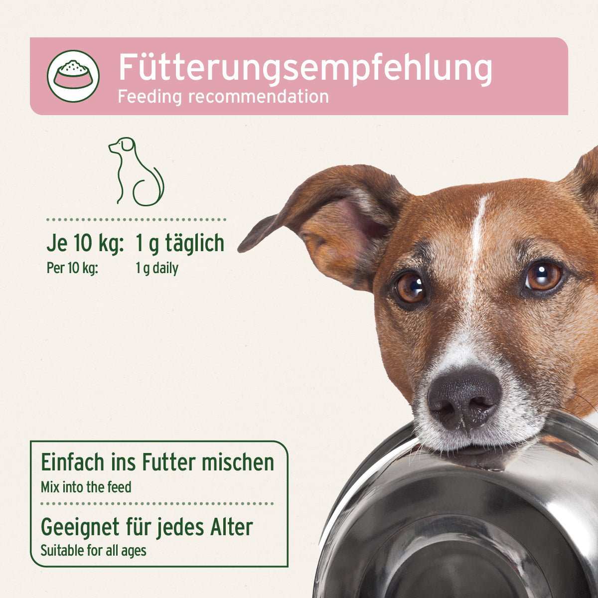 Hund mit Napf im Maul. 
