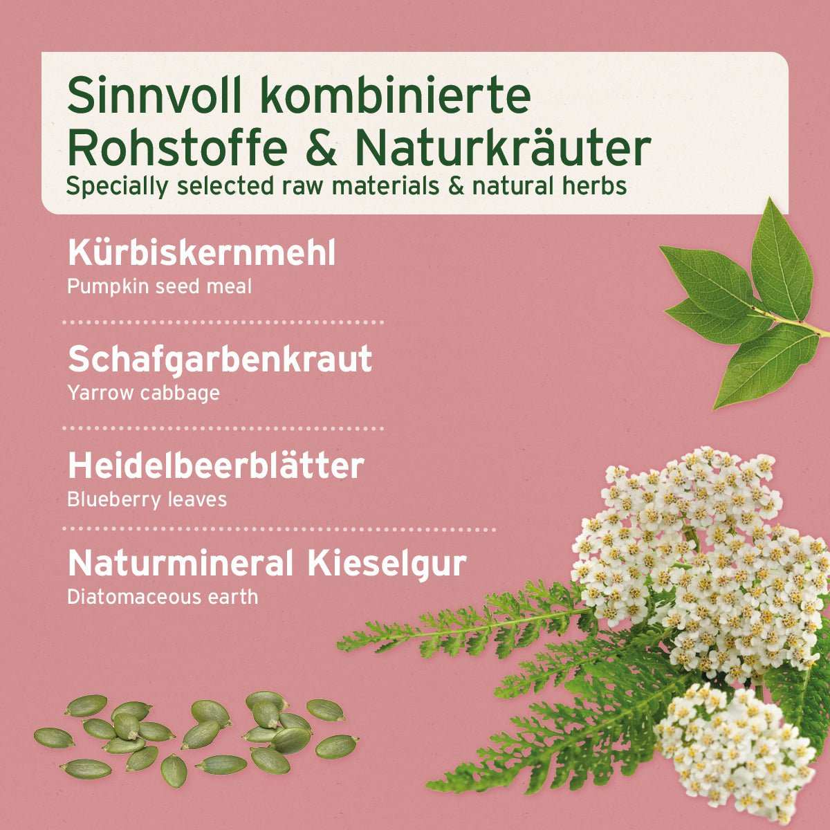 Blasen-Formel Pulver zur Unterstützung der Blasenfunktion bei Hunden, mit Kürbiskernmehl, Schafgarbe und Heidelbeerblättern.