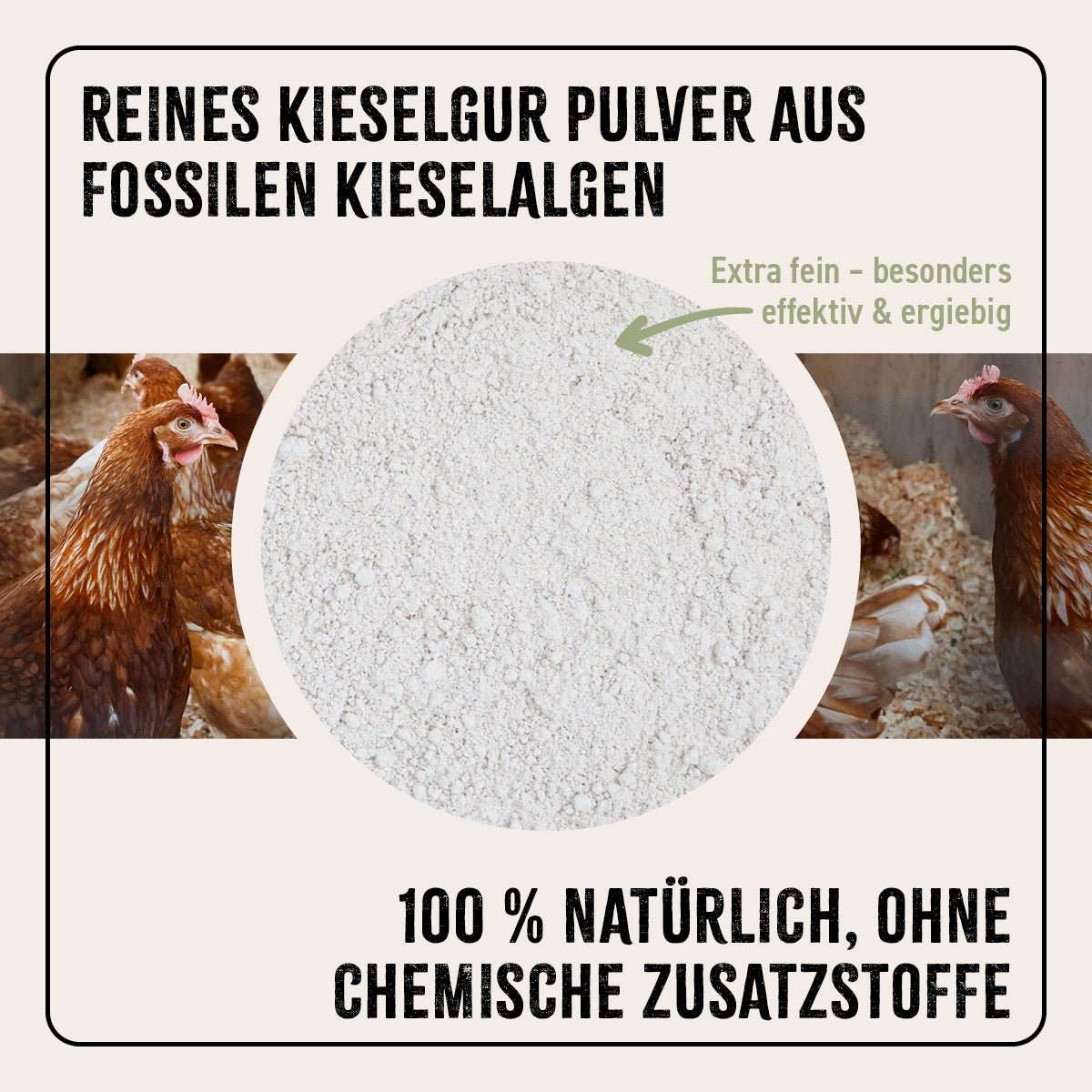 Reines Kieselgur Pulver aus fossilen Kieselalgen, extra fein und ergiebig, 100 % natürlich, ohne chemische Zusatzstoffe.