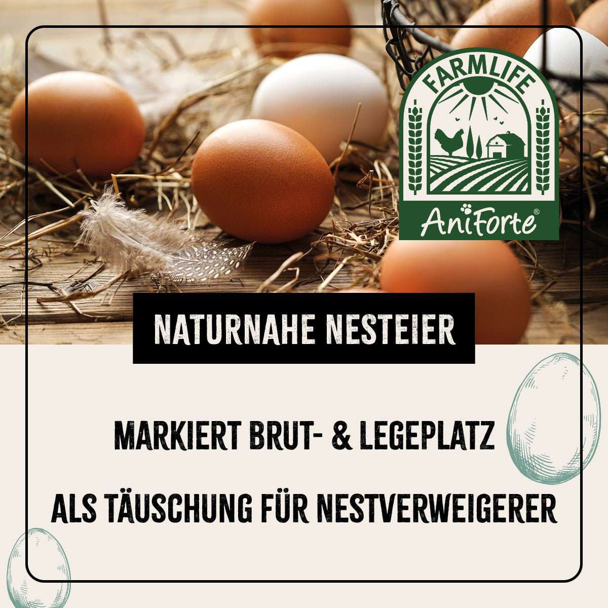 Auf Boden liegende Eier. 