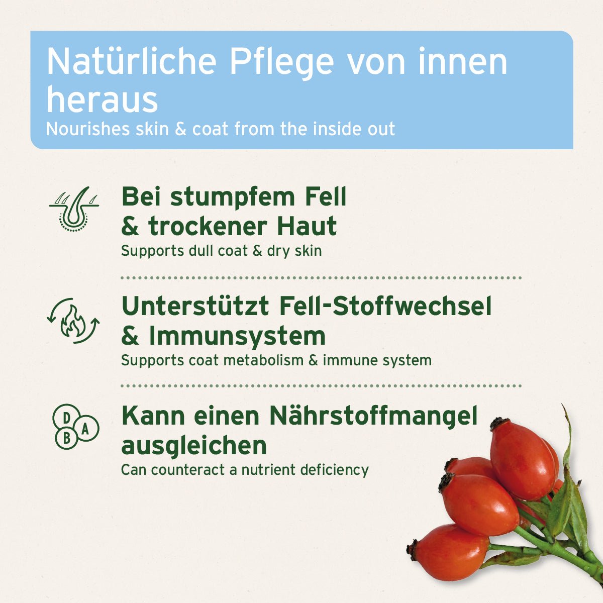 AniForte Fellglanz-Set für Hunde mit natürlichen Ölen und Vitalpulver für glänzendes Fell und gesunde Haut