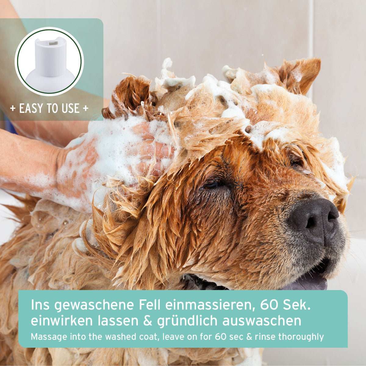 Informationen zu Fellharmonie Conditioner Sensitiv für Hunde, natürliche Pflegespülung mit Aloe Vera, verleiht seidigen Glanz und Geschmeidigkeit in türkiser Inofbox. Daneben ein Hund der gewaschen wird. 
