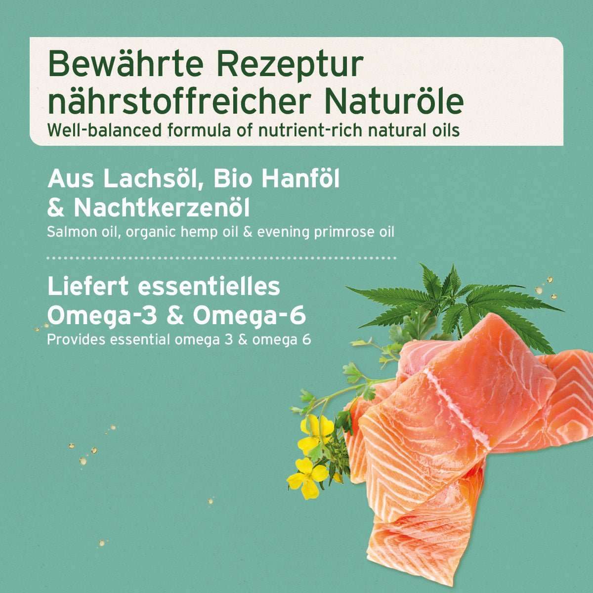 Informationsgrafik Fellharmonie Futteröl neben Lachs und Pflanzen. 