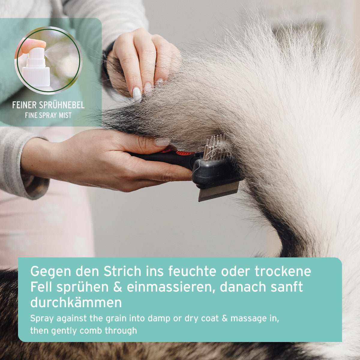 Fellharmonie Pflegespray Sensitiv für Hunde & Katzen – natürliches Entfilzungsspray mit Aloe Vera, Jojobaöl und Sheabutter für seidig glänzendes Fell, Hund wird Rute gekämmt. 
