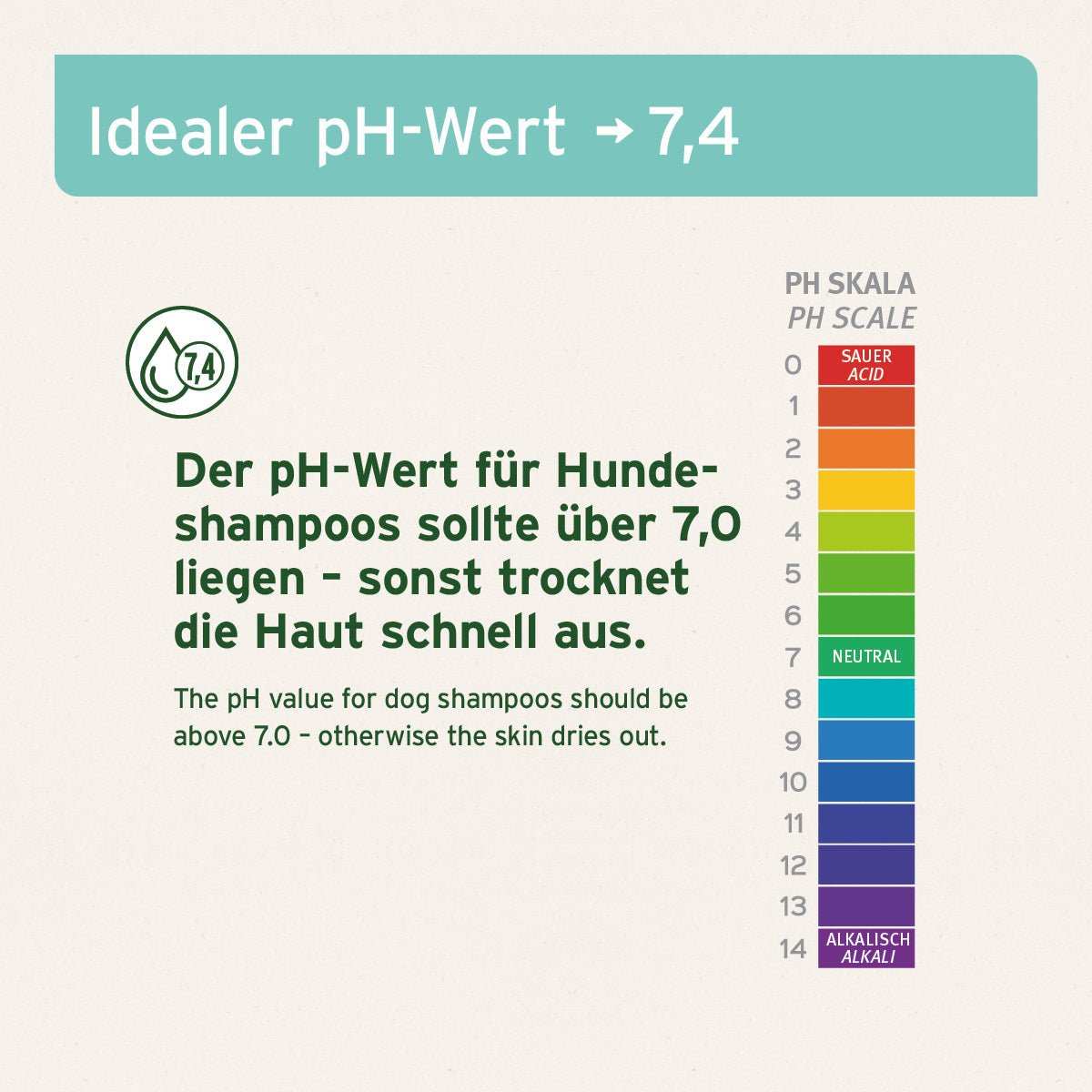 Fellharmonie Shampoo Kokos für Hunde mit Kokosöl und Aloe Vera, für glänzendes Fell und vitale Hundehaut, geeignet für alle Felltypen.