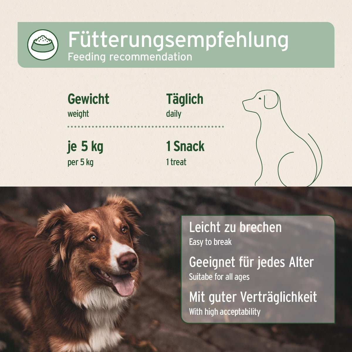 Fütterungsempfehlung AniForte Gelenk-Snack für Hunde. Brauner Hund der Aufmerksam in die Kamera schaut. 