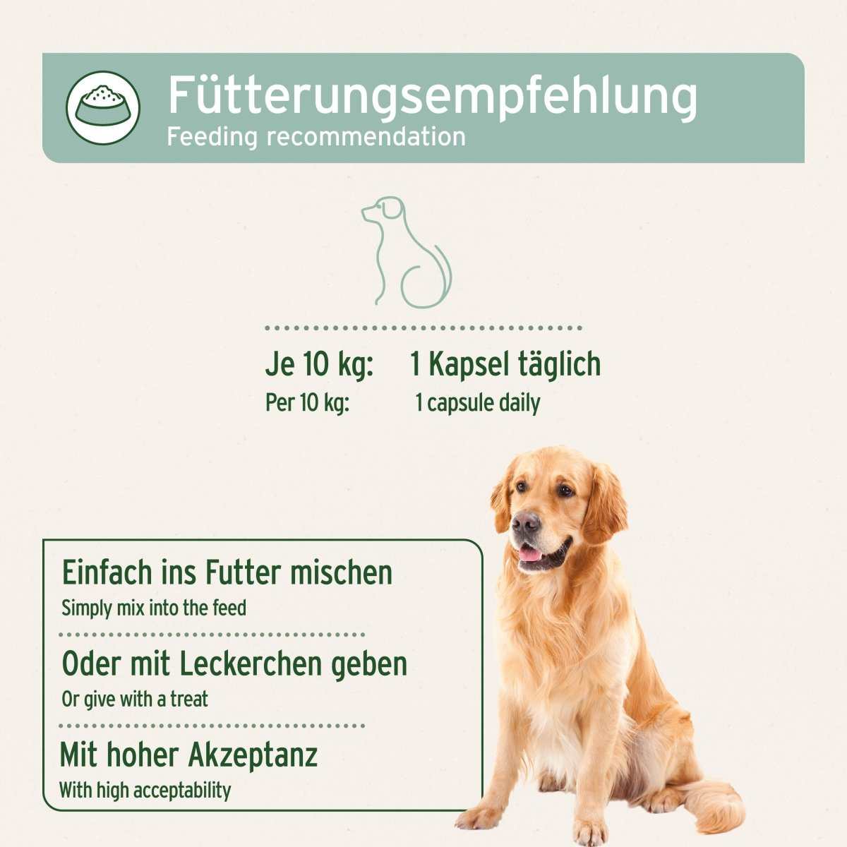 Grünlippmuschel Kapseln für Hunde, Fütterungsempfehlung, je 10 kg: 1 Kapsel täglich, hohe Akzeptanz.