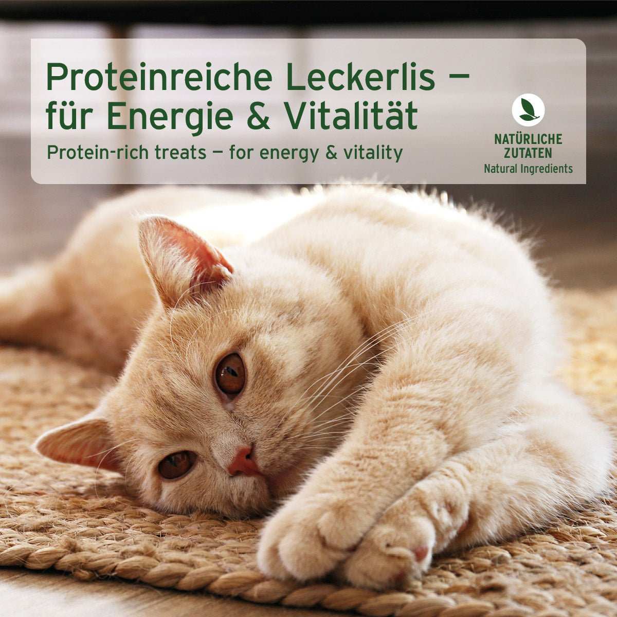 Proteinreiche Leckerlis für Katzen aus gefriergetrocknetem Hühnchenfleisch, ideal zur Belohnung und Topping, 100% natürlich und leicht verdaulich.