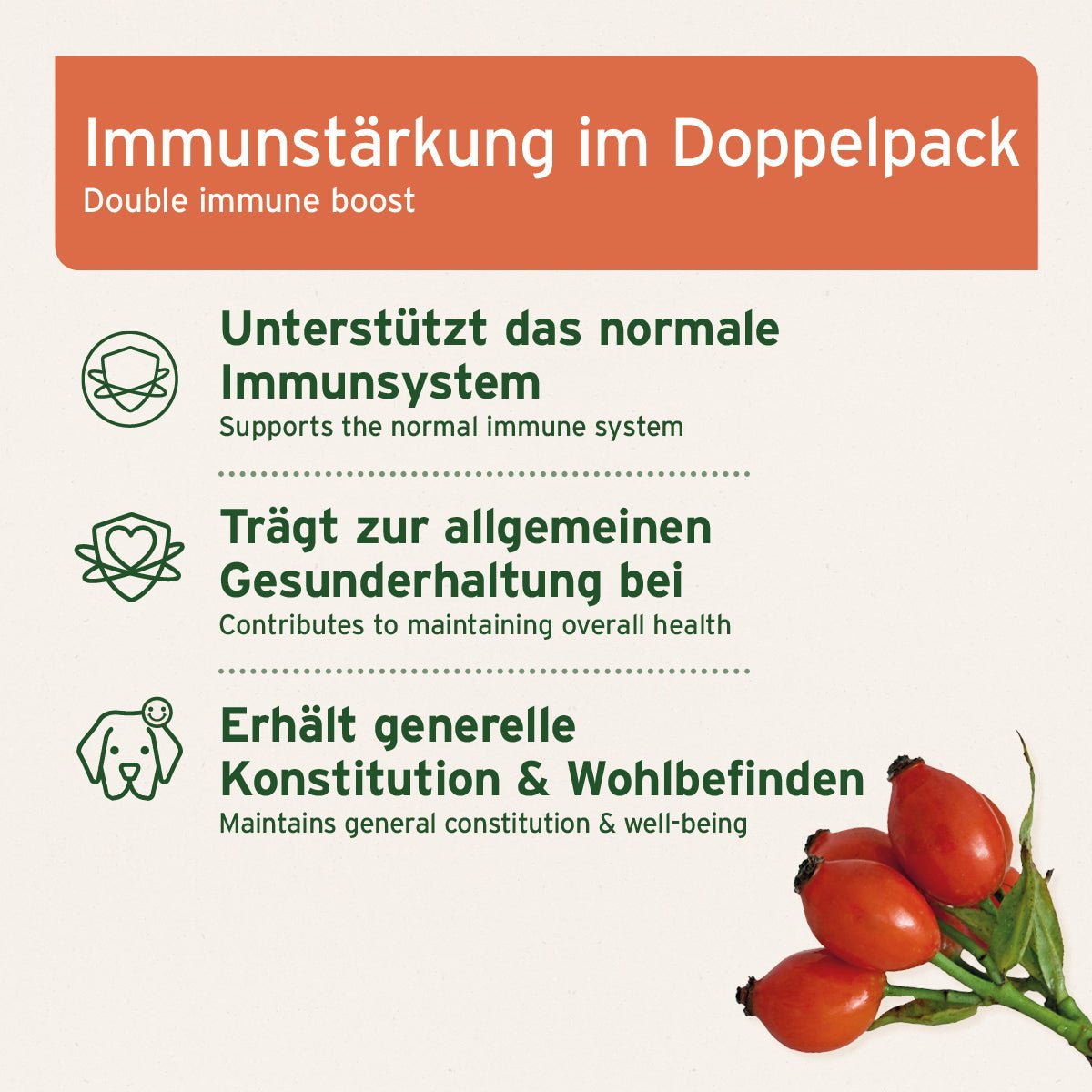 Immun-Fit Set für natürliche Immunstärkung bei Hunden und Katzen mit Immun-Aktiv und Nachtkerzenöl