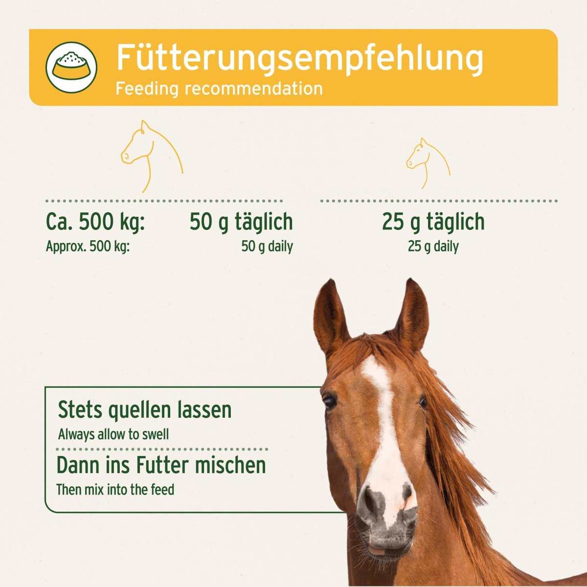 Fütterungsempfehlung für indische Flohsamen als Nahrungsergänzung für Pferde zur Unterstützung der Verdauung.