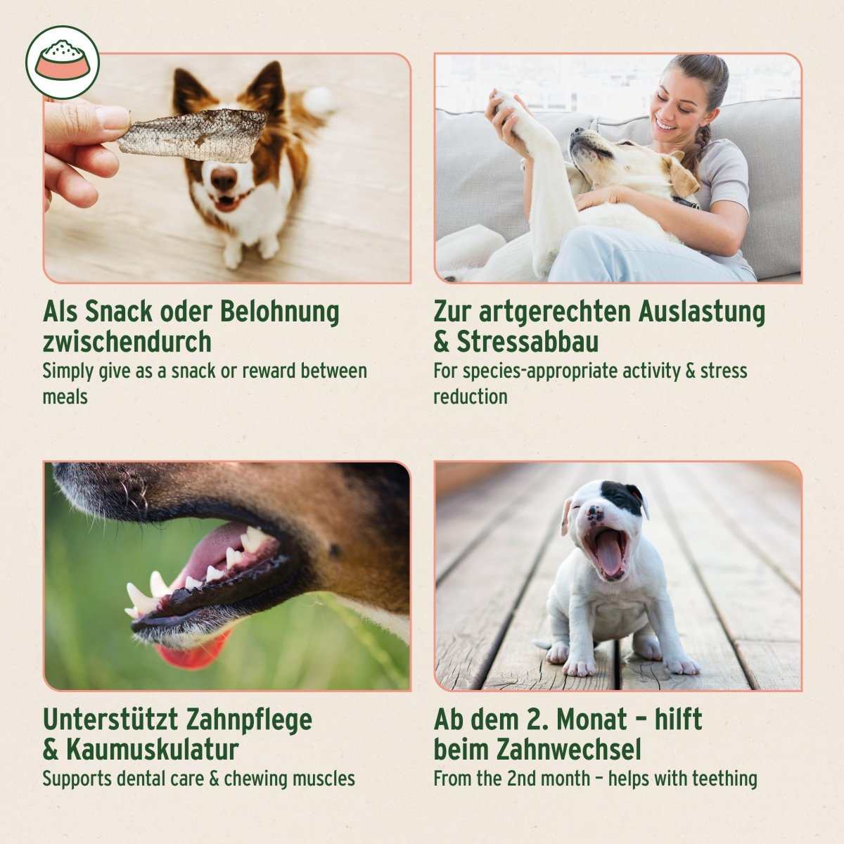 Verschiedene Abbildungen eines Hundes und Anwendungsgebiete Lachshaut für Hunde, natürlicher Kausnack, reich an Omega-3, unterstützt Zahnpflege und Stressabbau.

