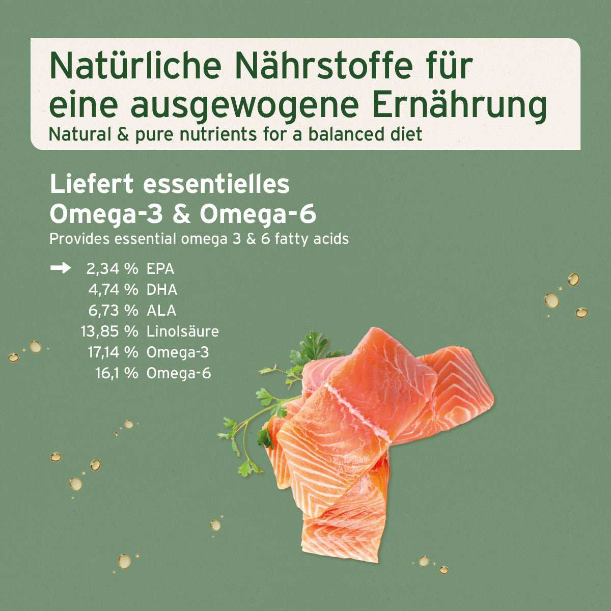 Information Lachsöl für Tiere, reich an Omega-3- und Omega-6-Fettsäuren, unterstützt gesunde Haut und glänzendes Fell neben zwei stücken Lachs. 
