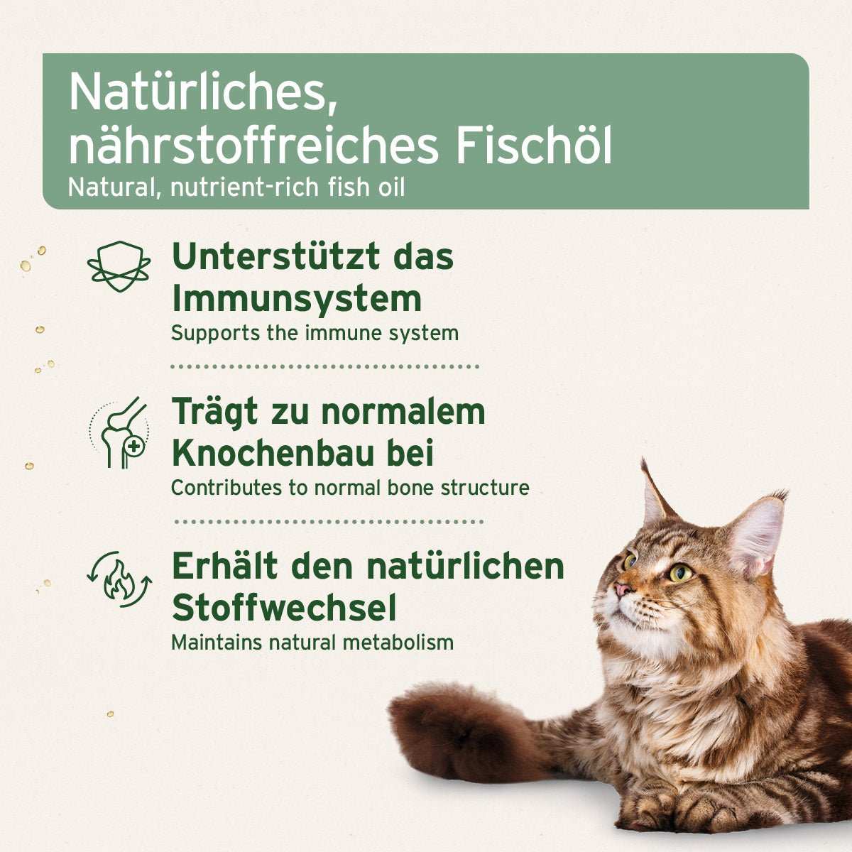 Grafik mit zusätzlichen Informationen Lebertran als natürliches und nährstoffreiches Fischöl das zum Erhalt des natürlichen Stoffwechsel beiträgt, das Immunsystem unterstützt und zum normalen Knochenbau beiträgt