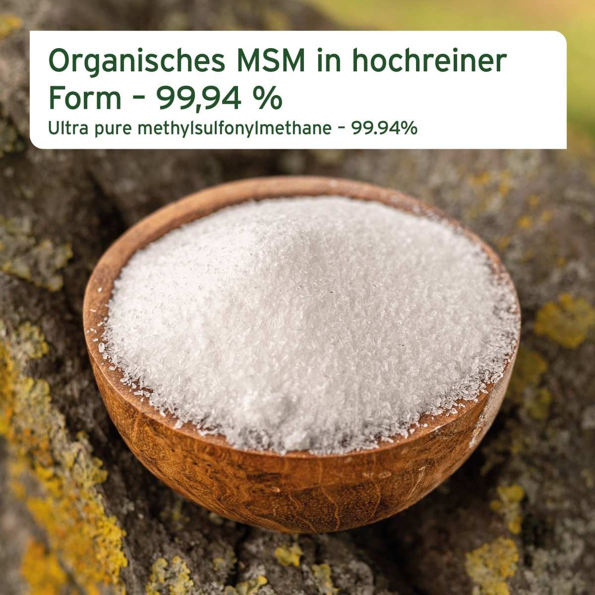Organisches MSM Pulver in Holzschale auf Naturhintergrund, ideal zur Unterstützung der Gelenke bei Pferden.